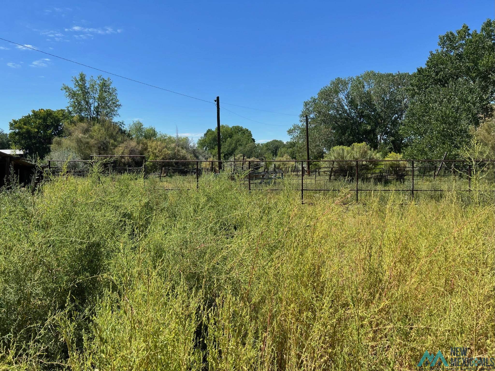 Cr 3000 Road, Aztec, Texas image 22