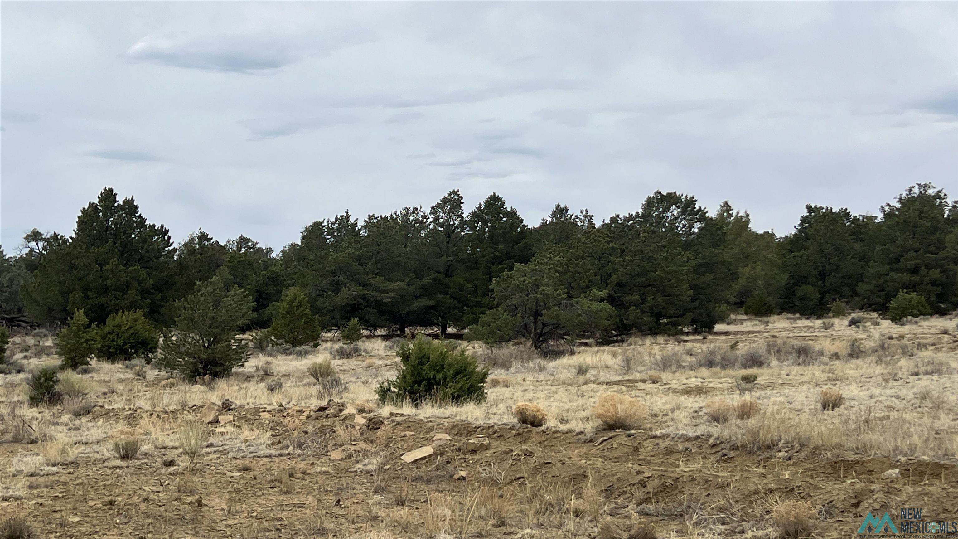 15 Victoria Road, Pie Town, Texas image 36
