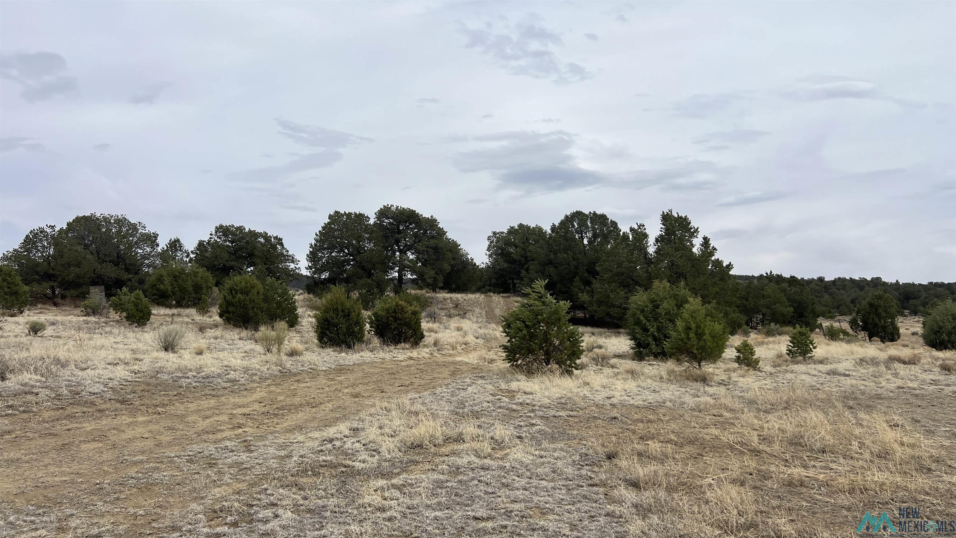 15 Victoria Road, Pie Town, Texas image 33