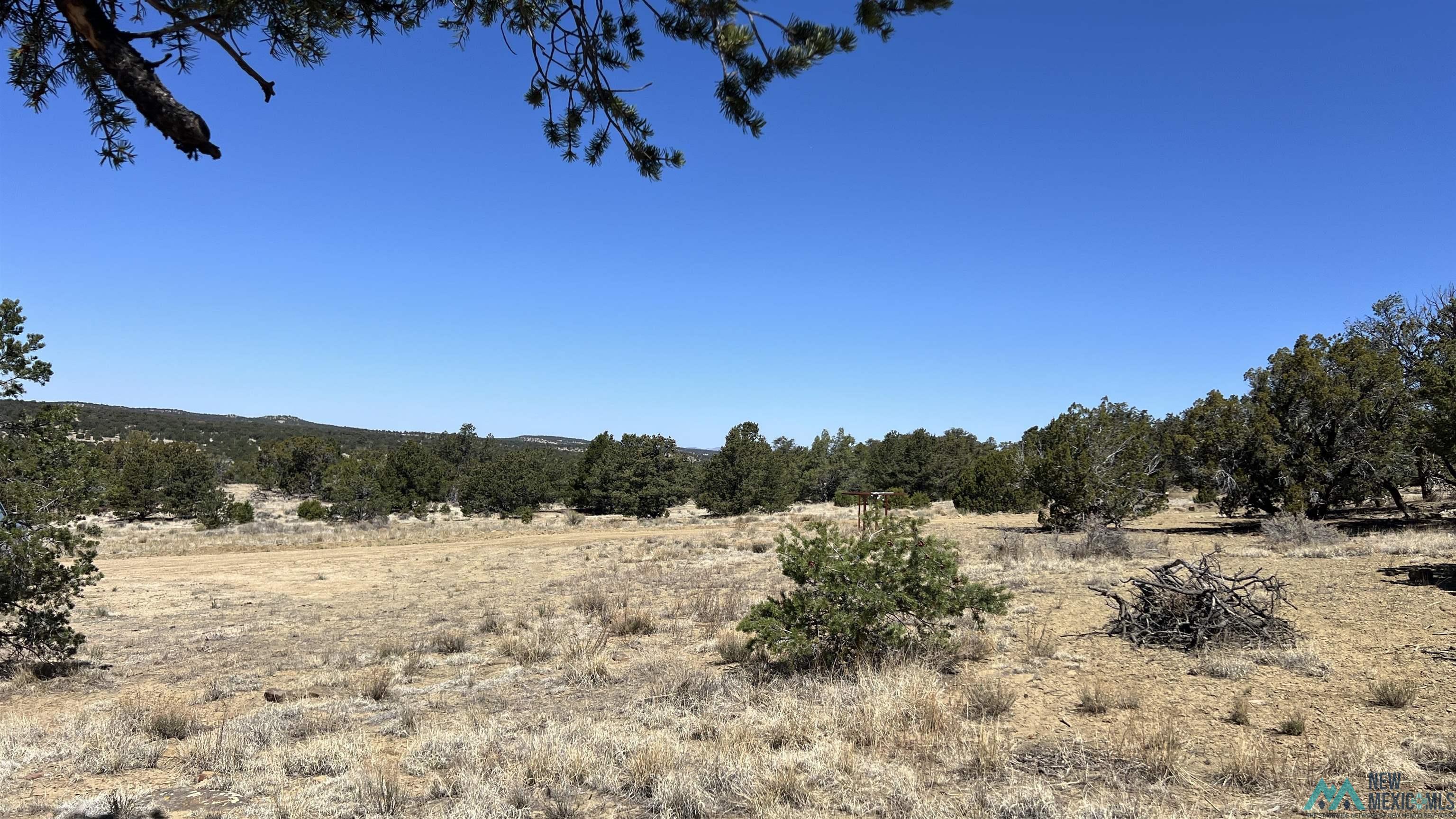 15 Victoria Road, Pie Town, Texas image 39