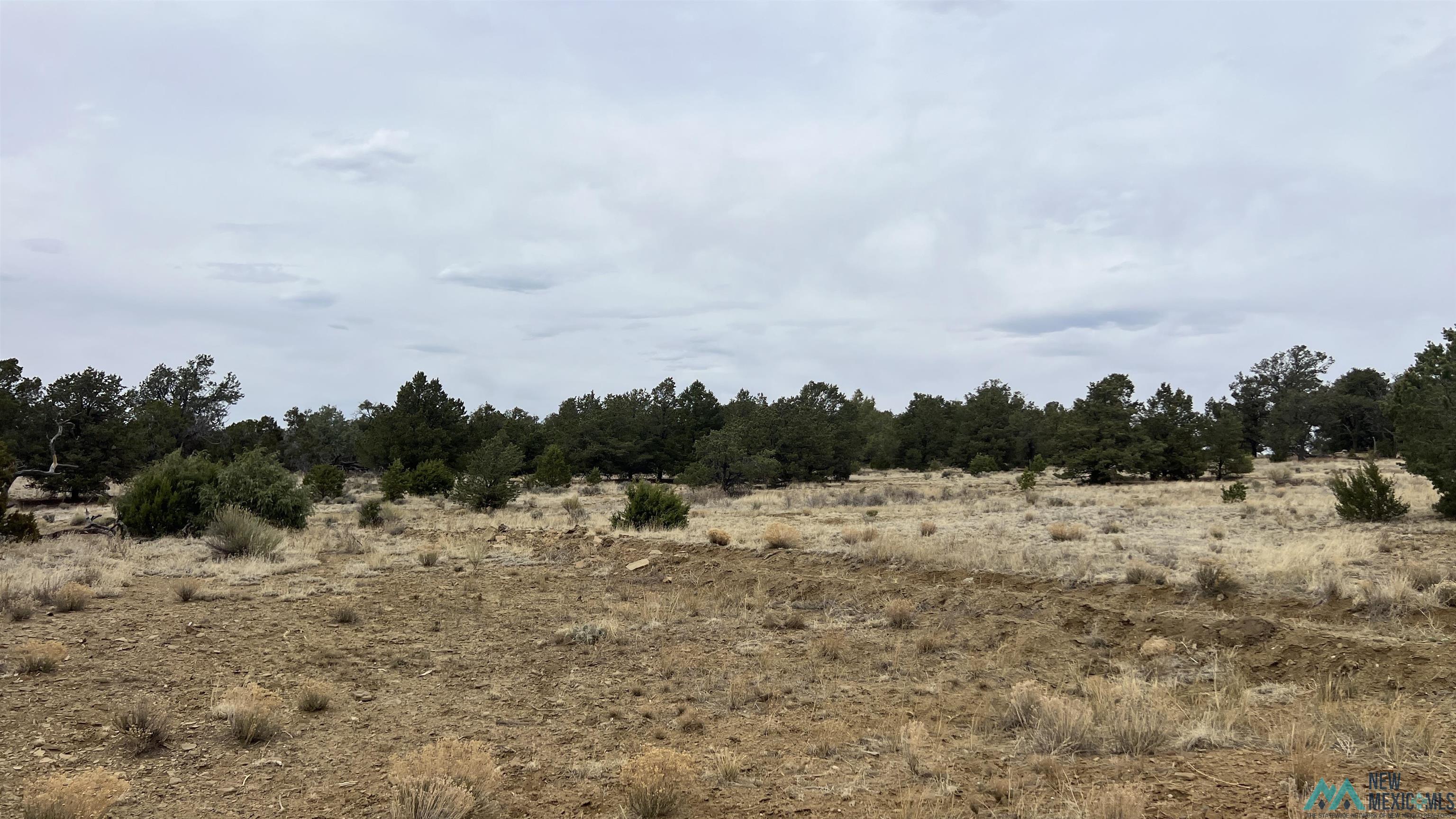 15 Victoria Road, Pie Town, Texas image 37