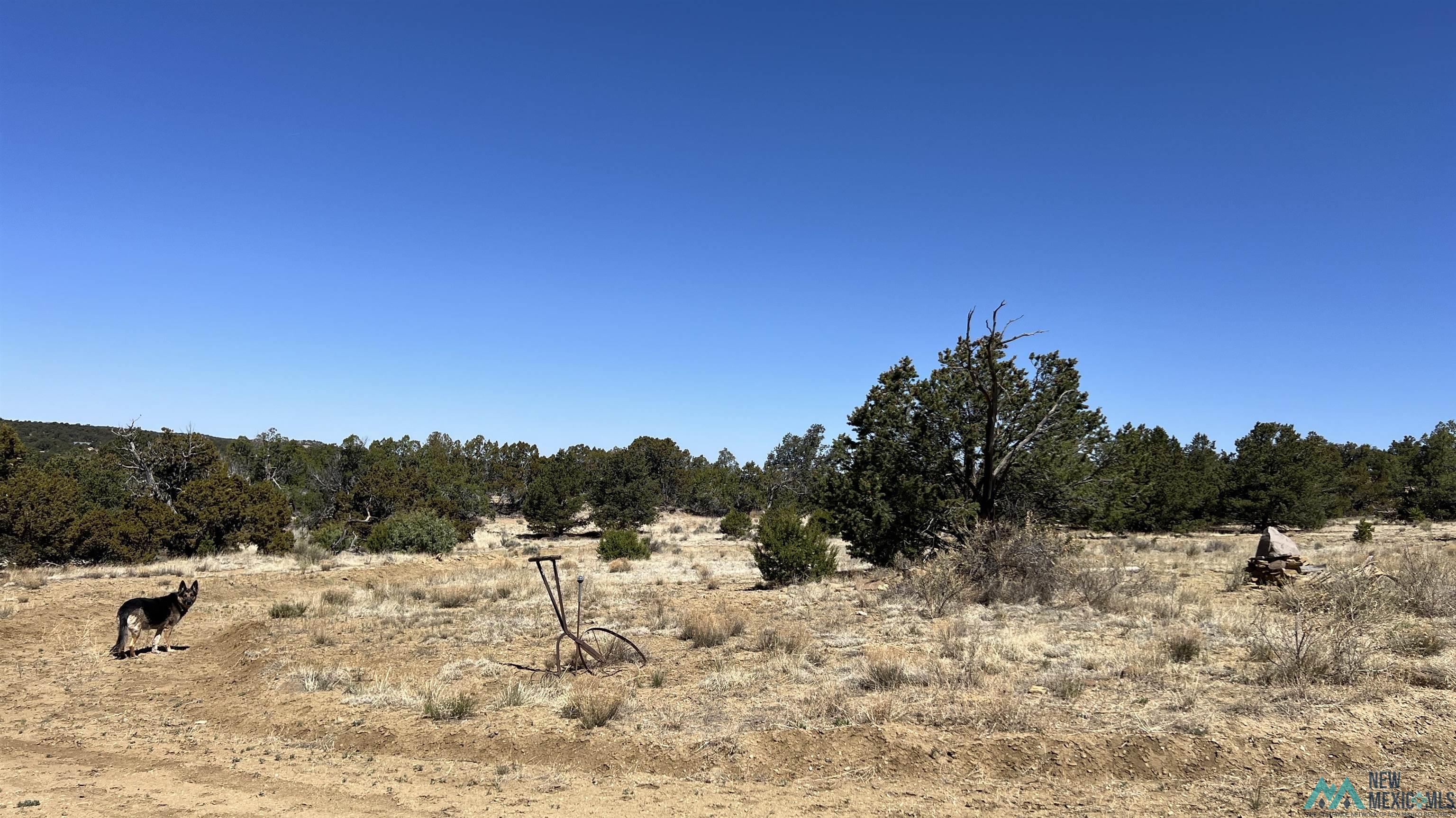 15 Victoria Road, Pie Town, Texas image 38