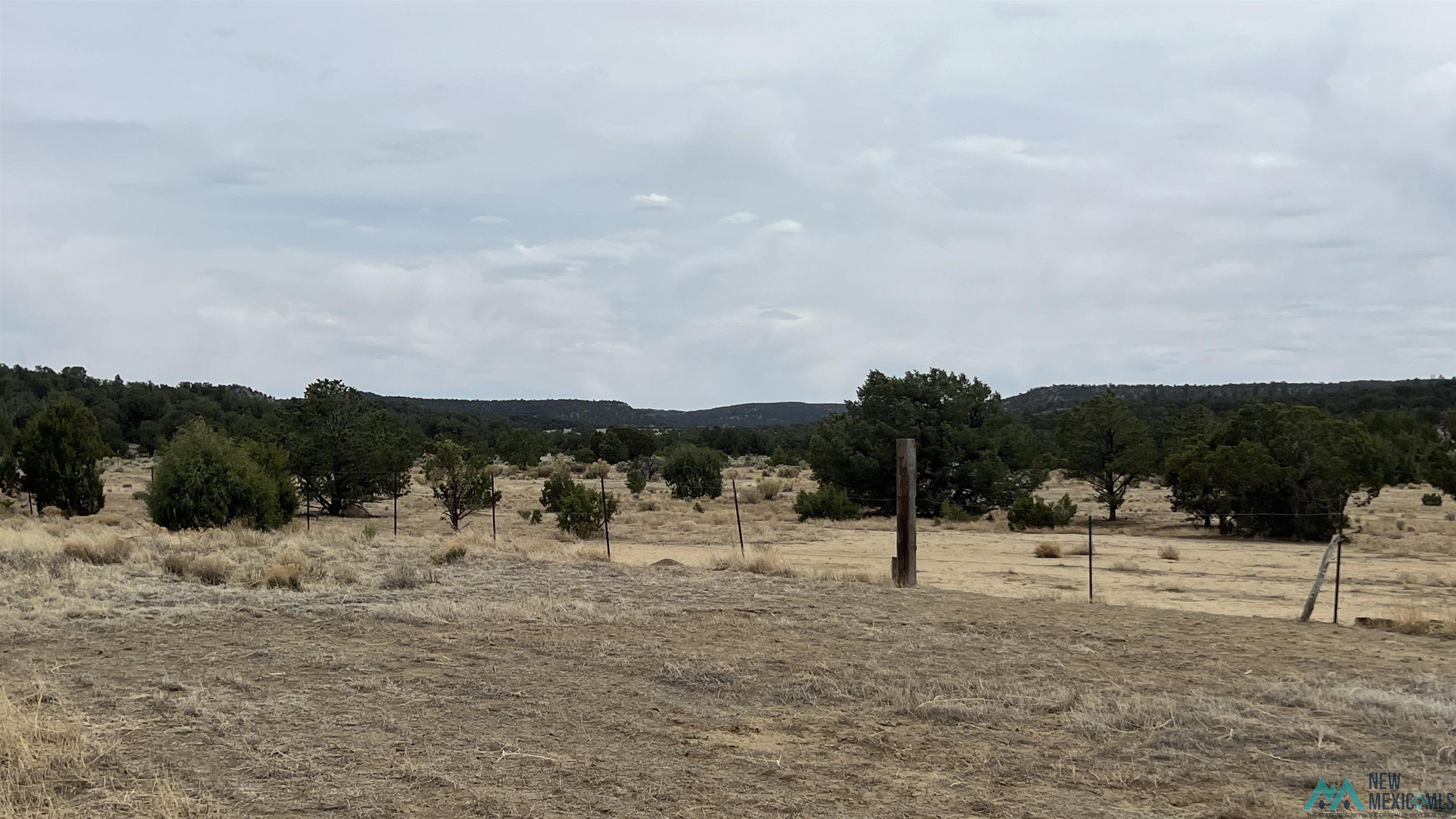 15 Victoria Road, Pie Town, Texas image 30