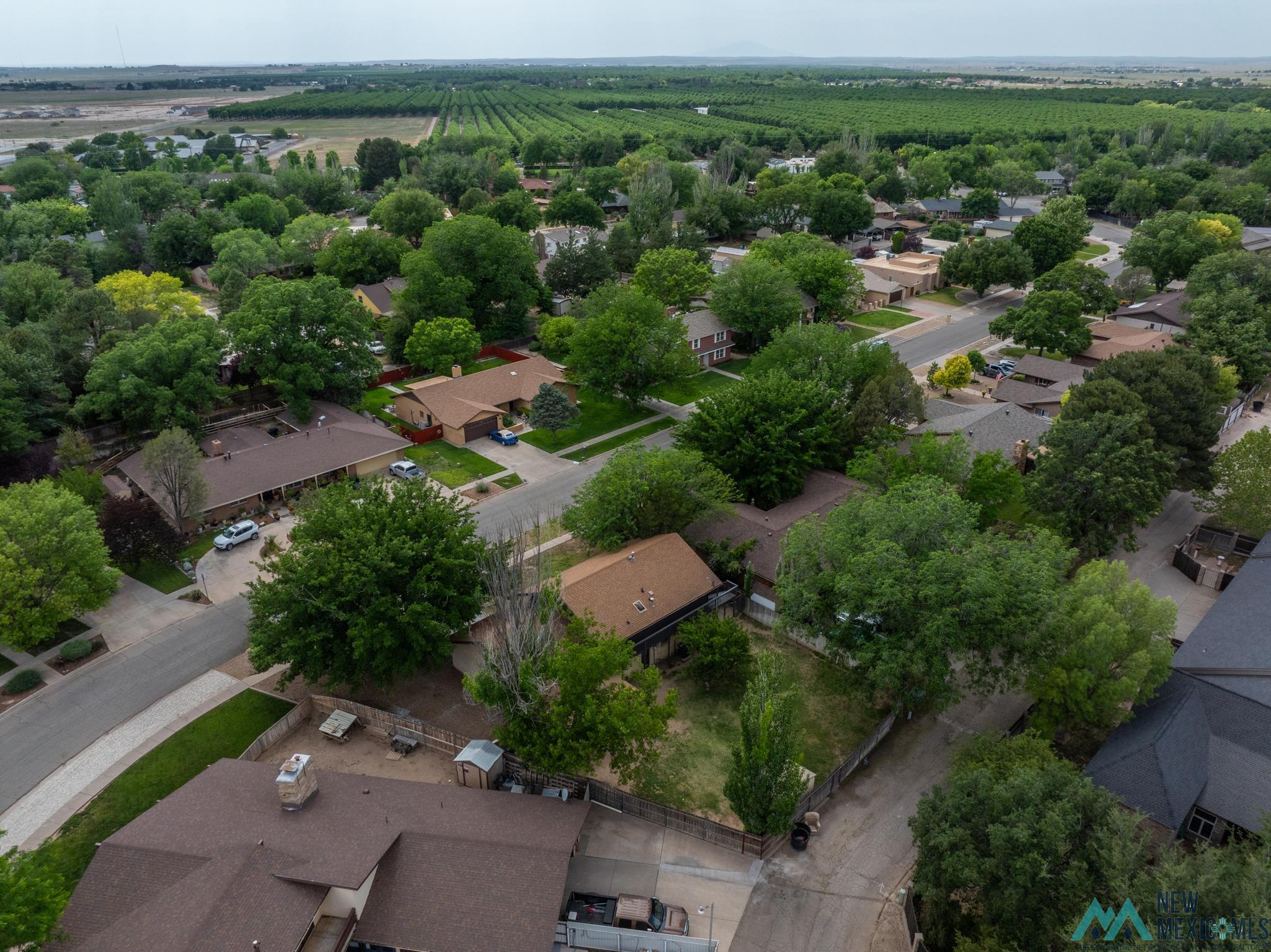 2603 Sherrill Lane, Roswell, New Mexico image 11