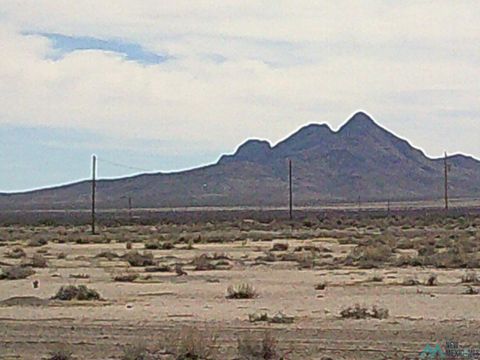 Vacant Land For Sale - 00 SW Brazil Road<br/> Luna County, Deming, NM 88030