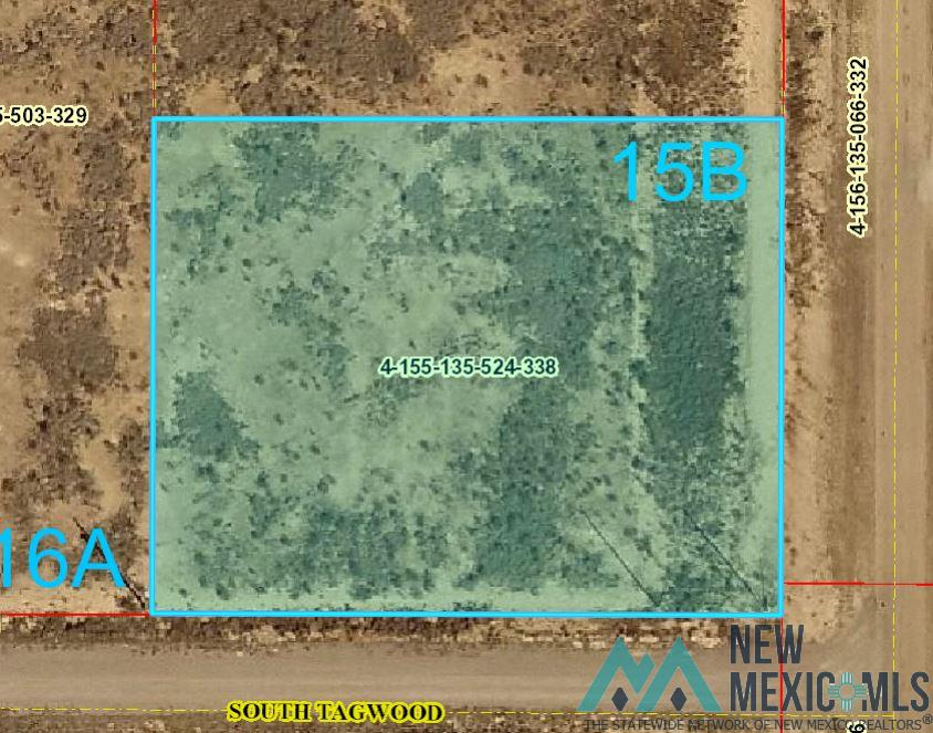 Lot 15B Molinar Road, Carlsbad, New Mexico image 8