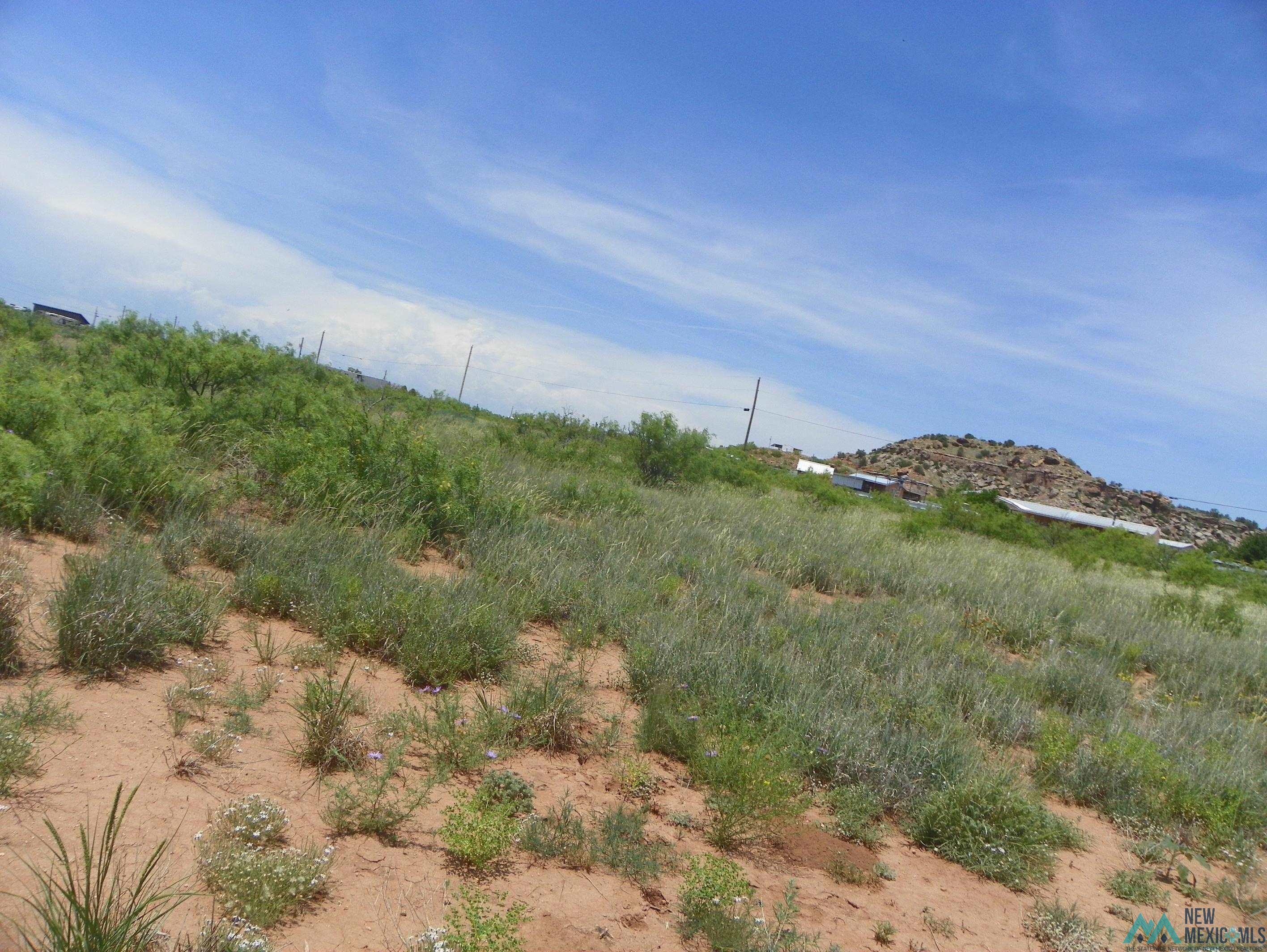 195 Hidden Place, Conchas Dam, Texas image 4