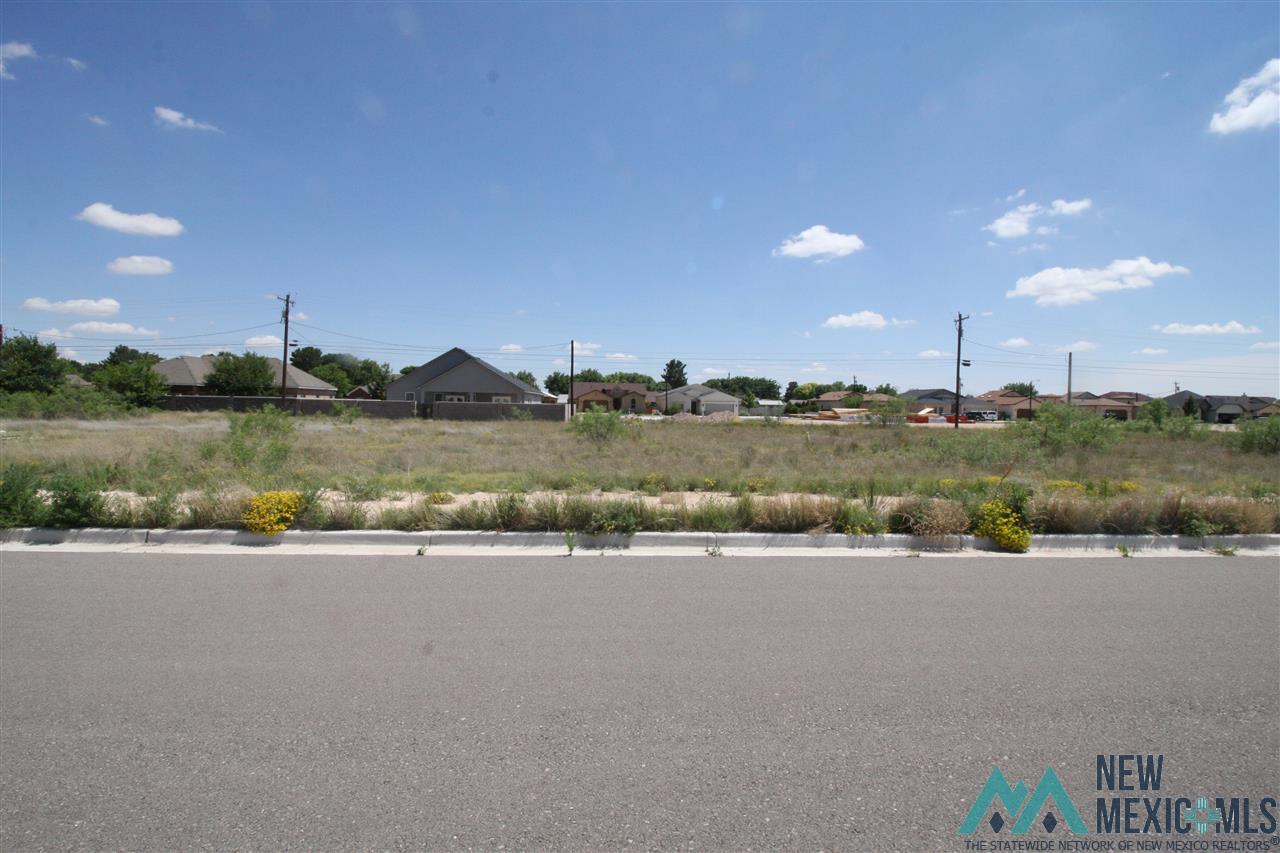 Lot 3A Blk 9 W Ave K Street, Lovington, New Mexico image 1