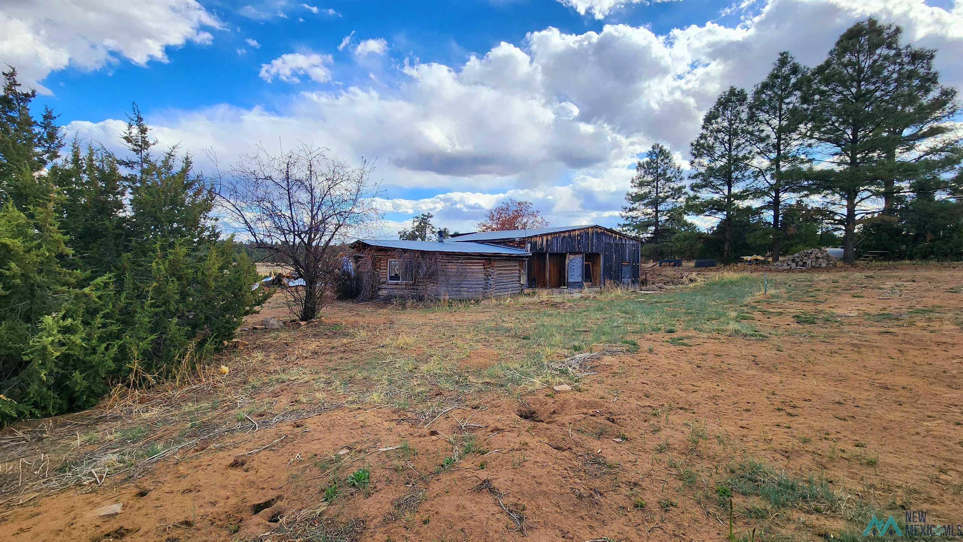 325 E Pinehaven Road, Vanderwagen, Texas image 28