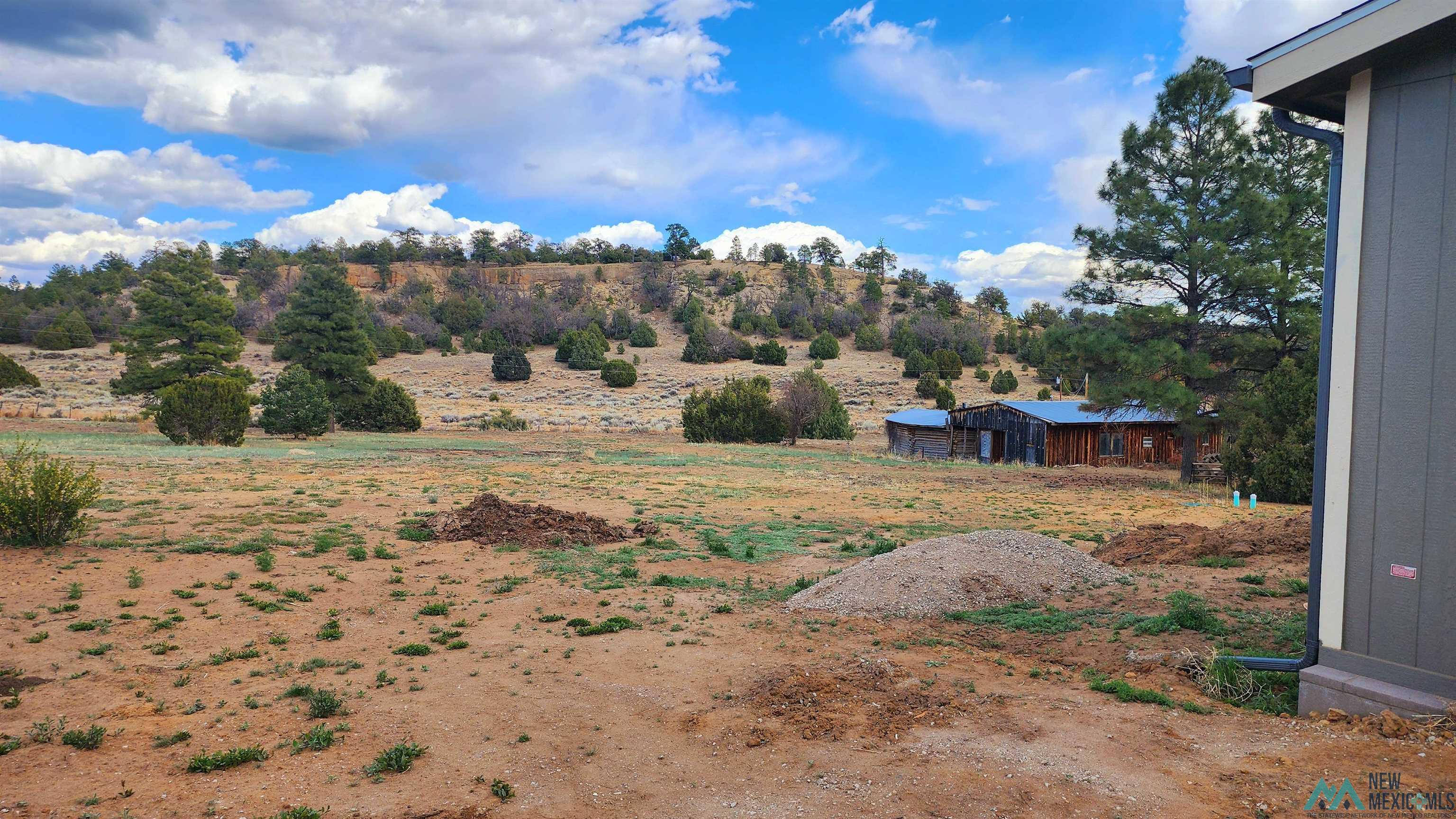 325 E Pinehaven Road, Vanderwagen, Texas image 25