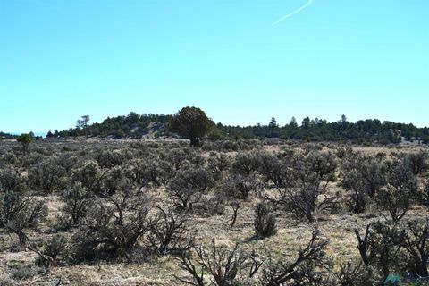 Vacant Land For Sale - 00 Pajarito Road<br/> Tierra Amarilla, NM 87575