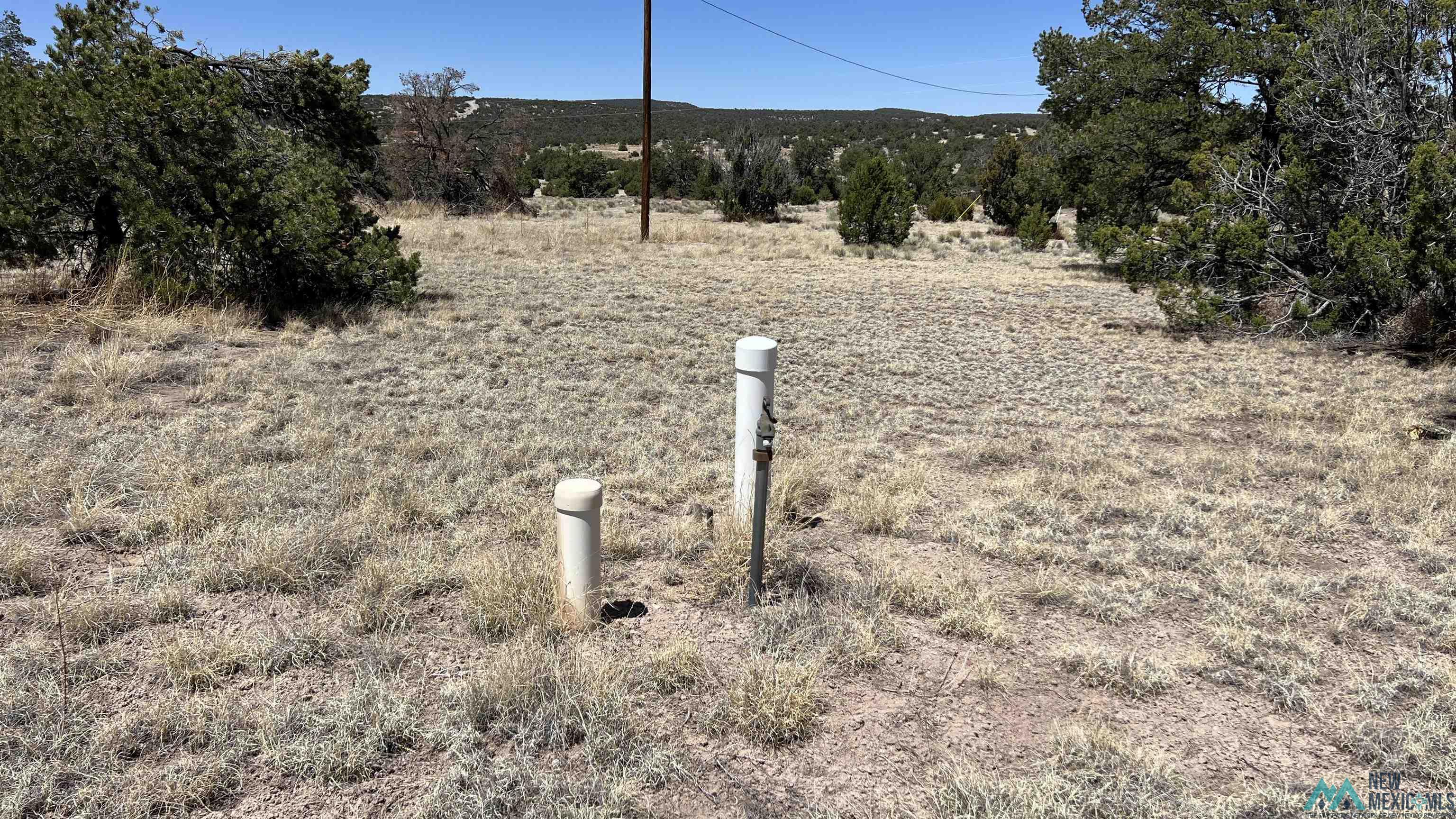 47 Golden Horseshoe Road, Quemado, Texas image 4
