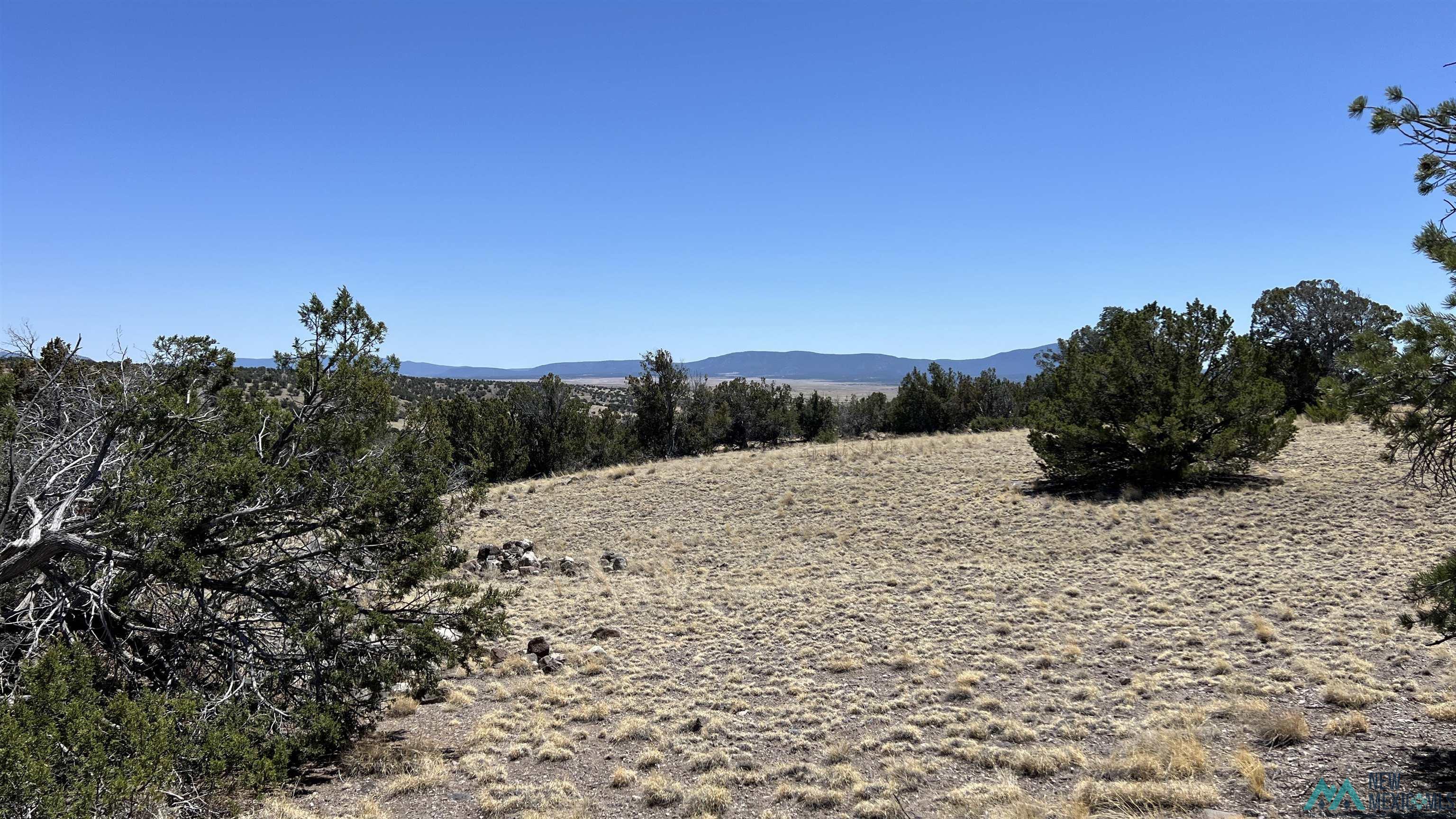 47 Golden Horseshoe Road, Quemado, Texas image 10