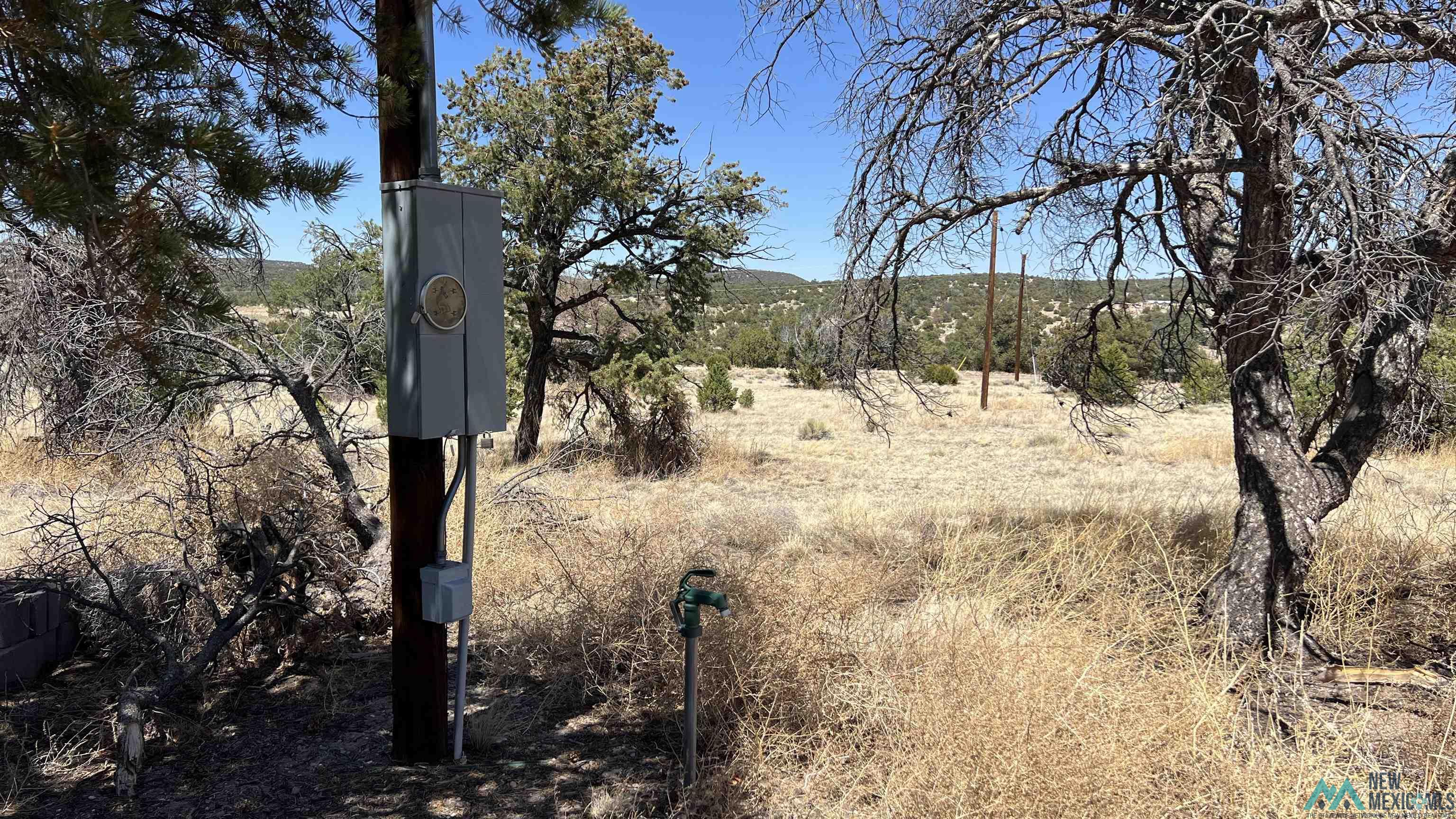 47 Golden Horseshoe Road, Quemado, Texas image 3
