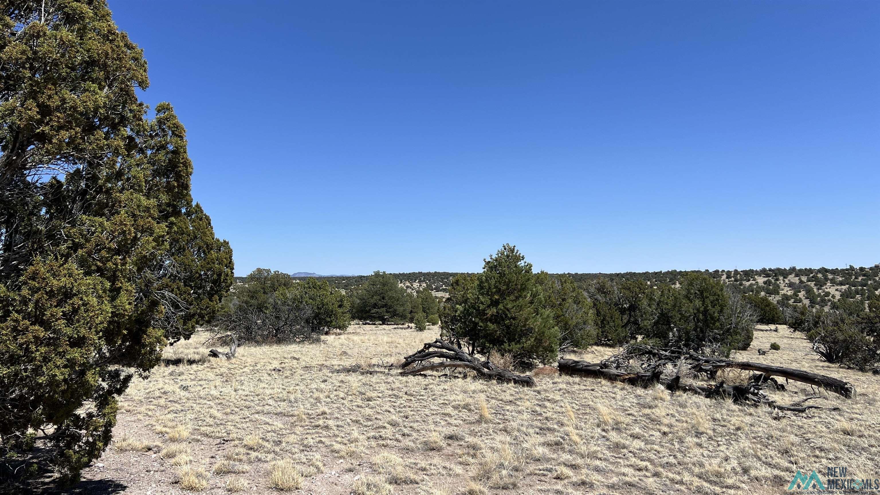 47 Golden Horseshoe Road, Quemado, Texas image 9