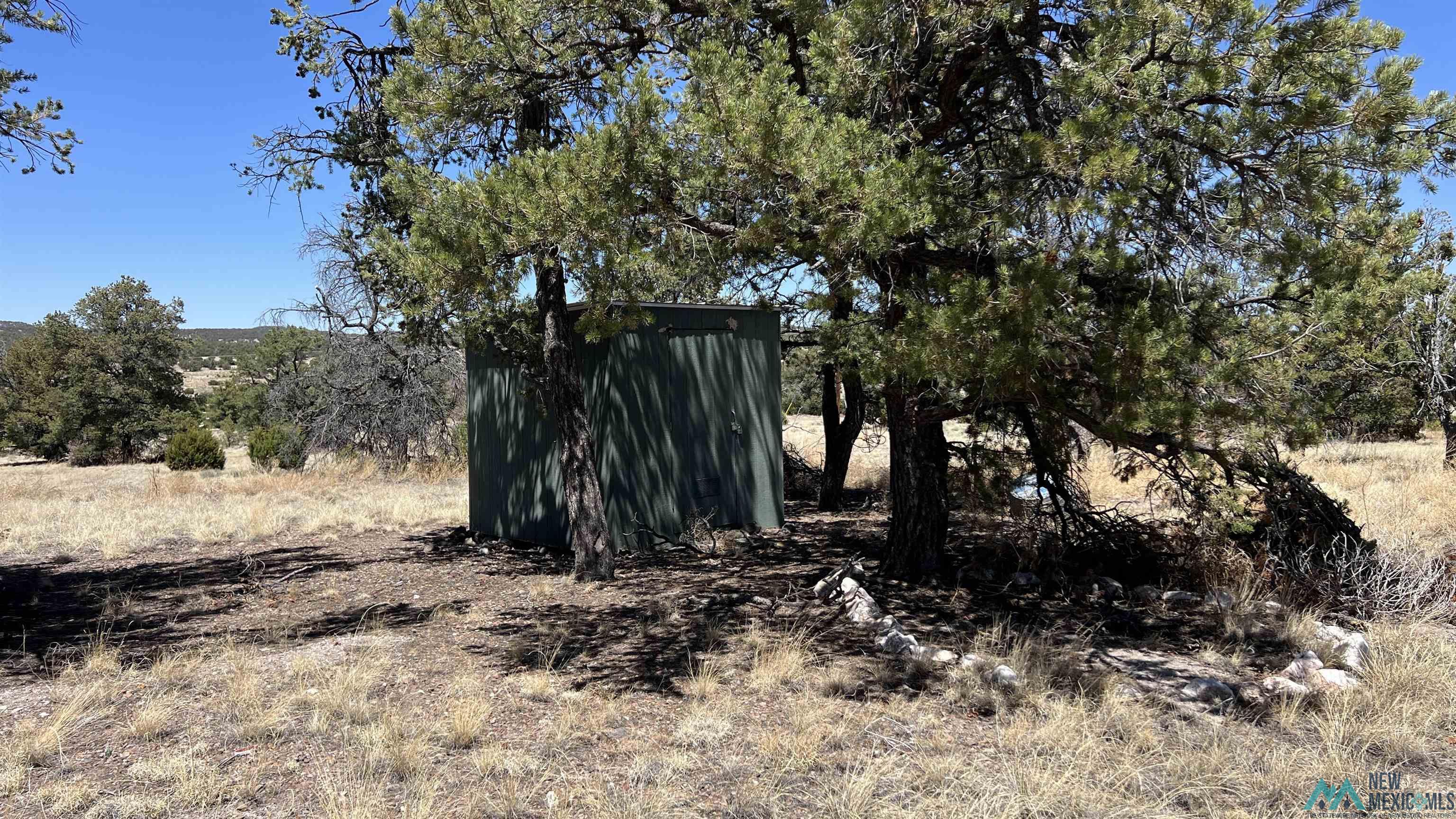 47 Golden Horseshoe Road, Quemado, Texas image 2
