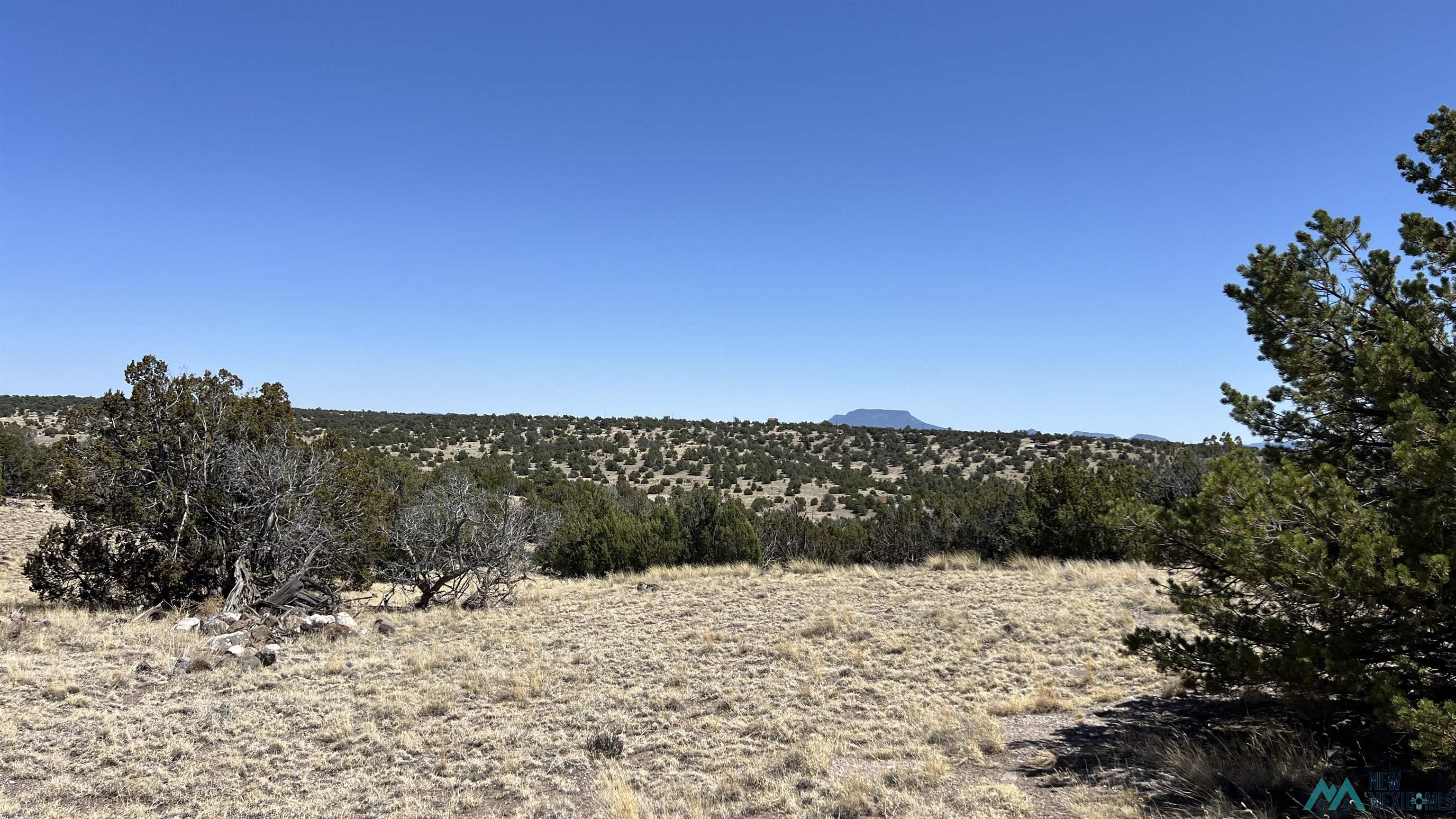 47 Golden Horseshoe Road, Quemado, Texas image 6