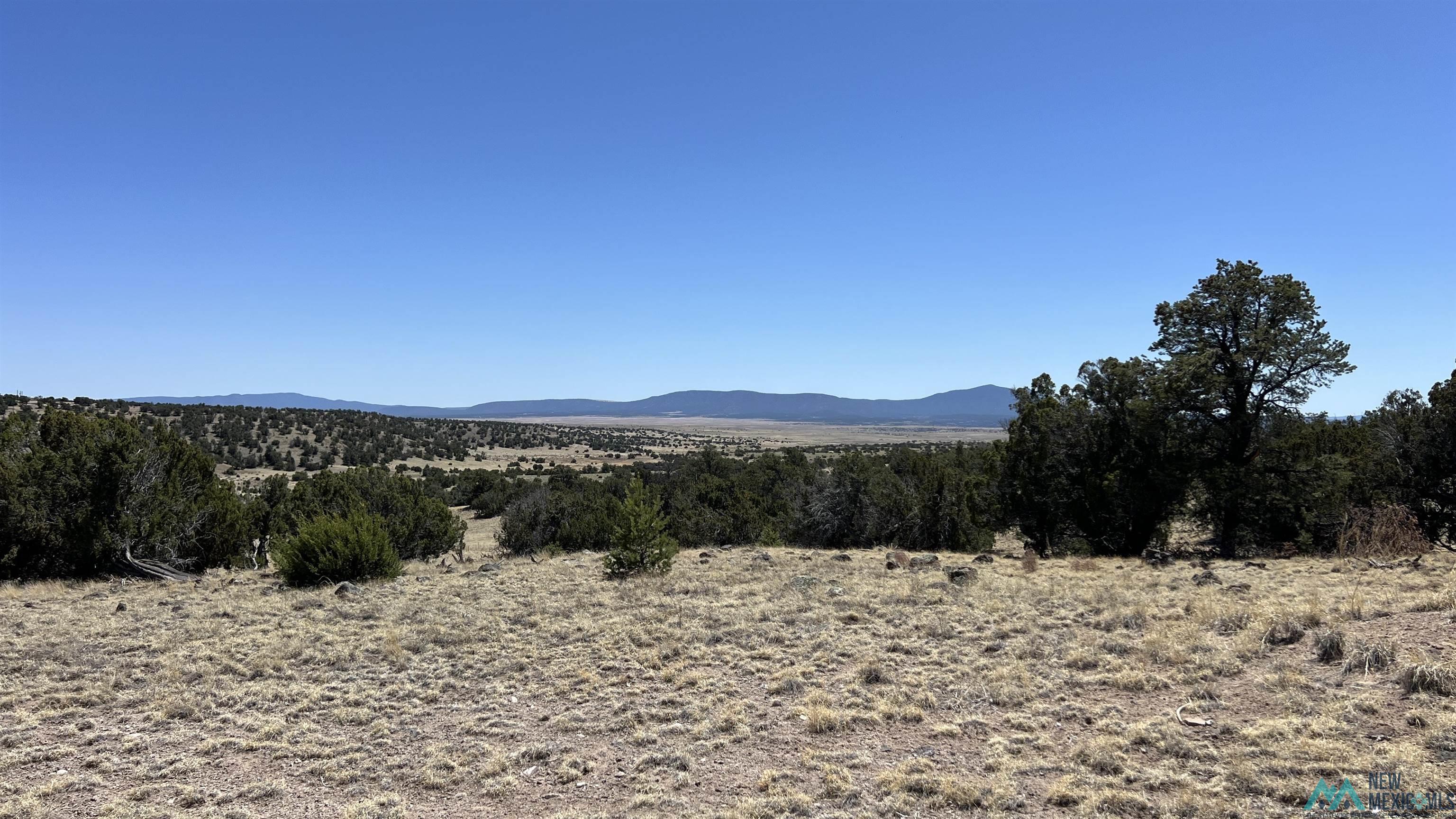 47 Golden Horseshoe Road, Quemado, Texas image 1