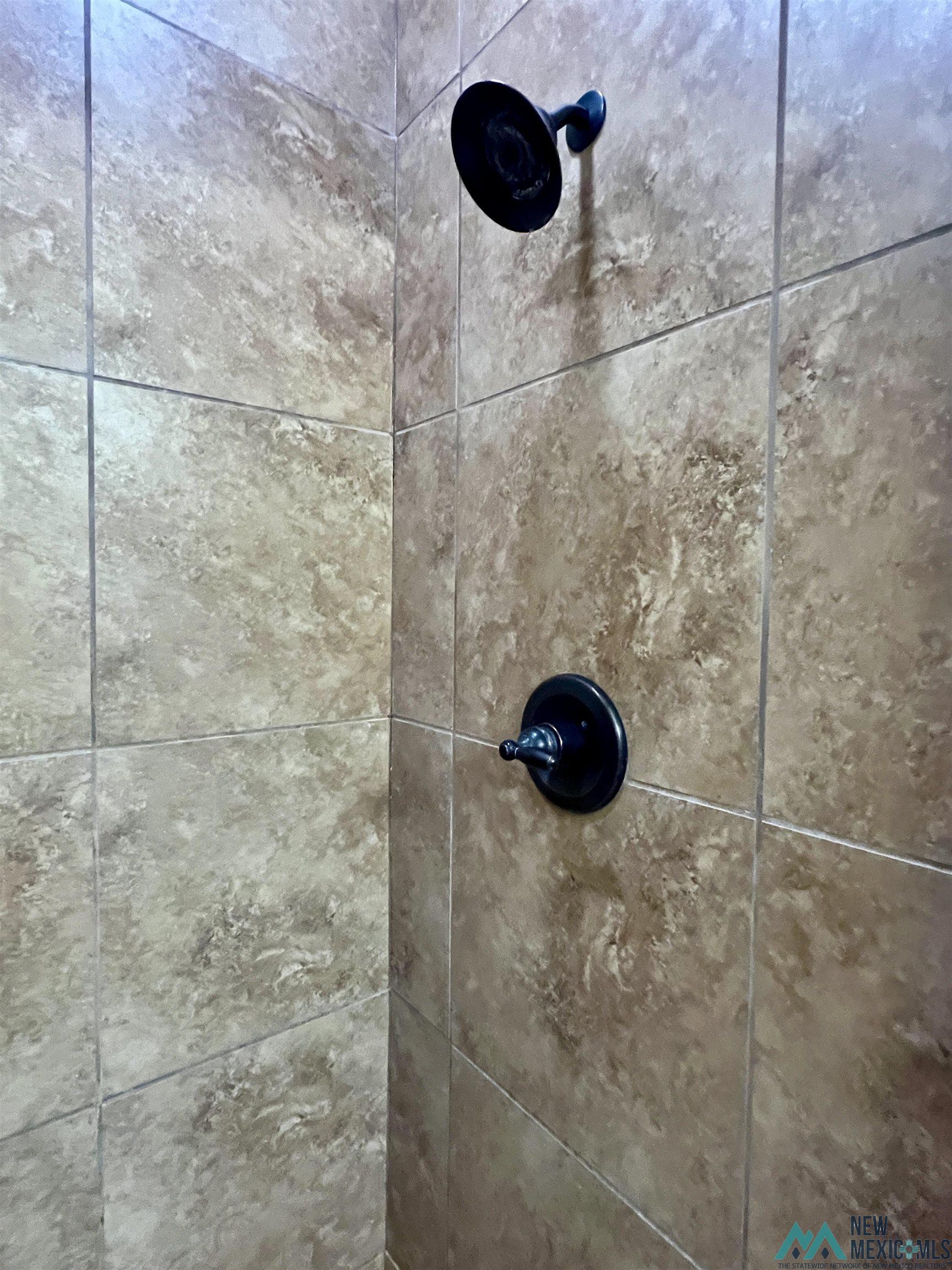 116 Almond Tree Lane, Clovis, Texas image 16