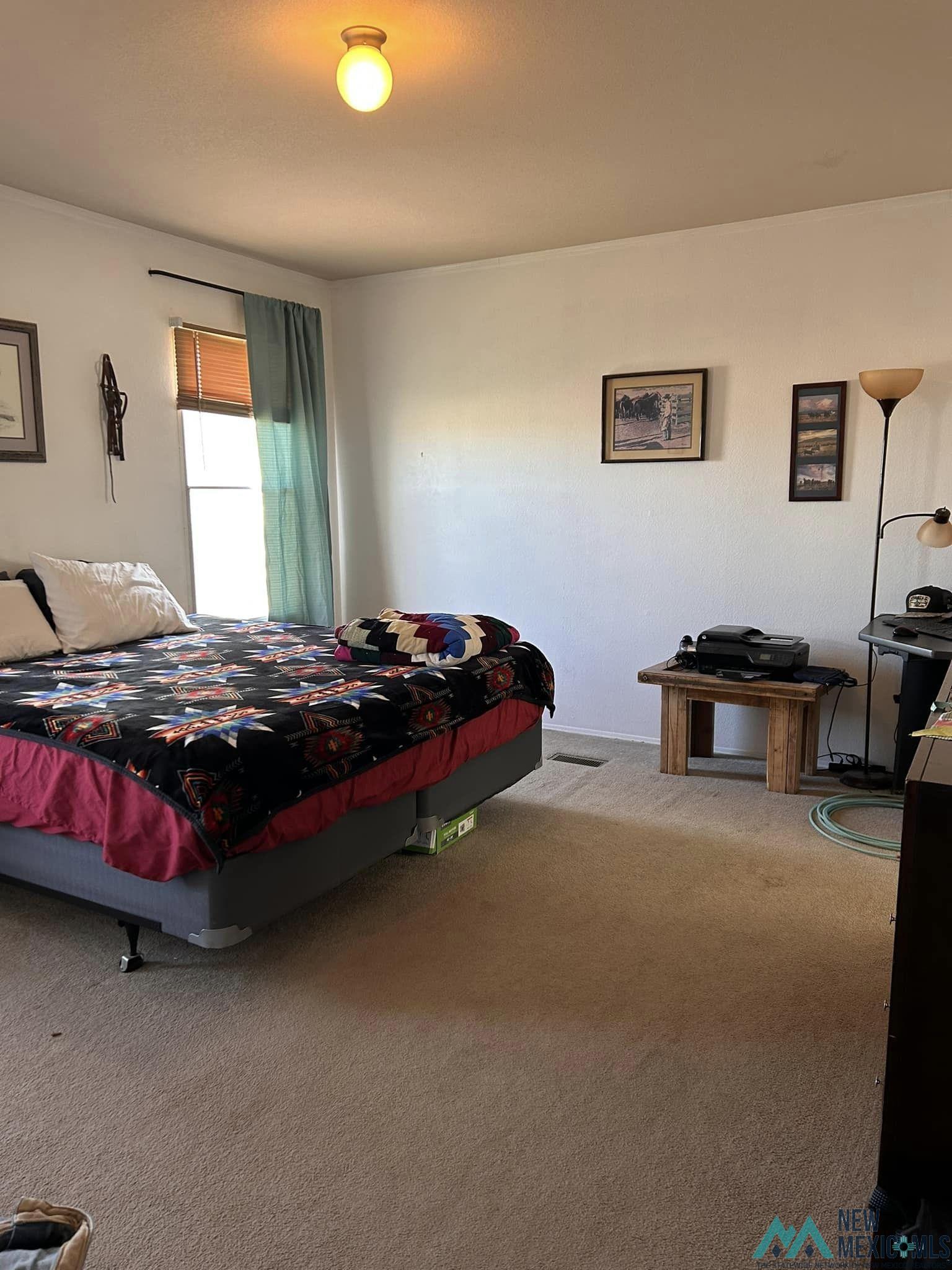 60 Carson City Road, Dexter, New Mexico image 14