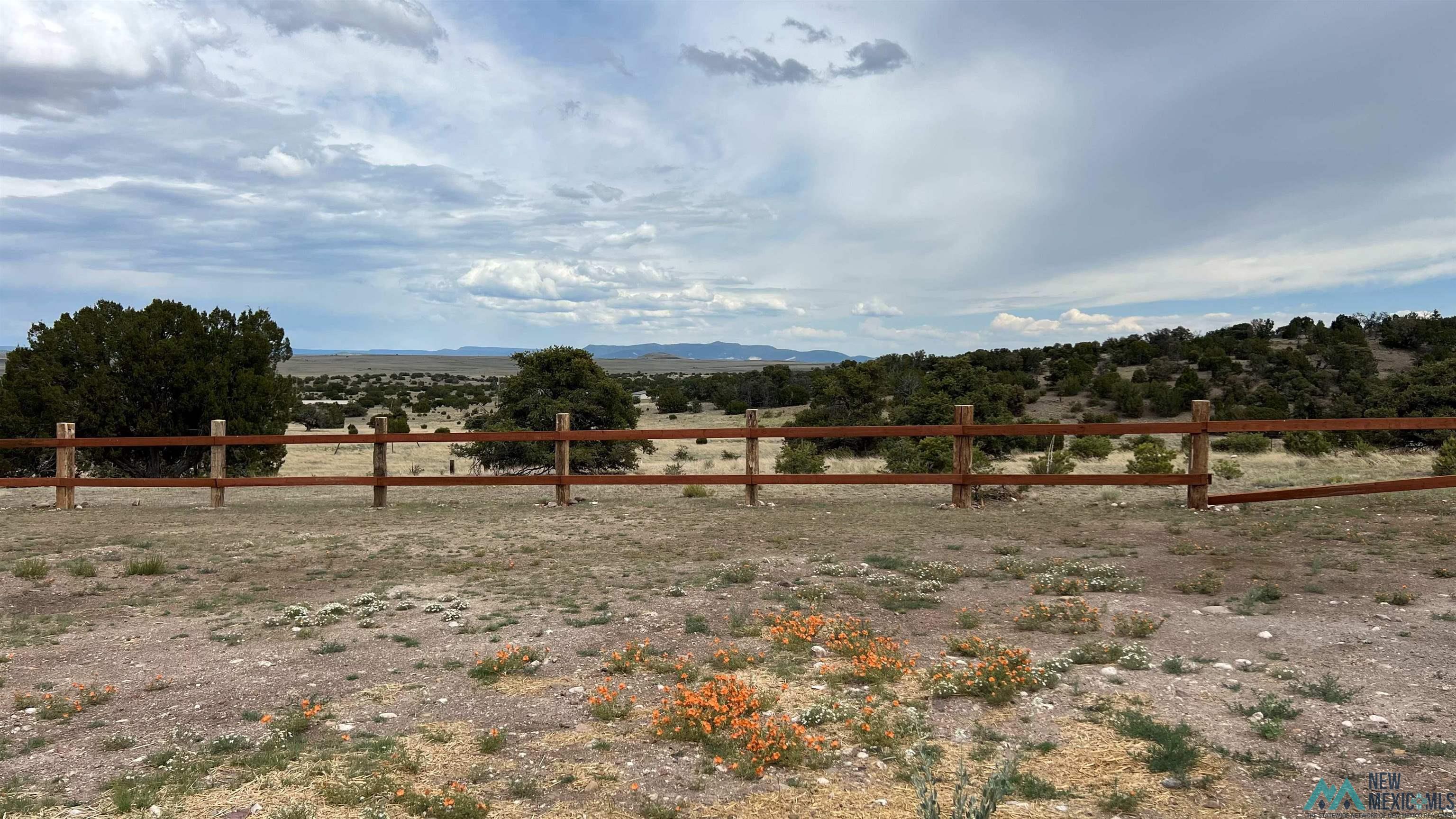 455 Cimarron Drive, Quemado, New Mexico image 38