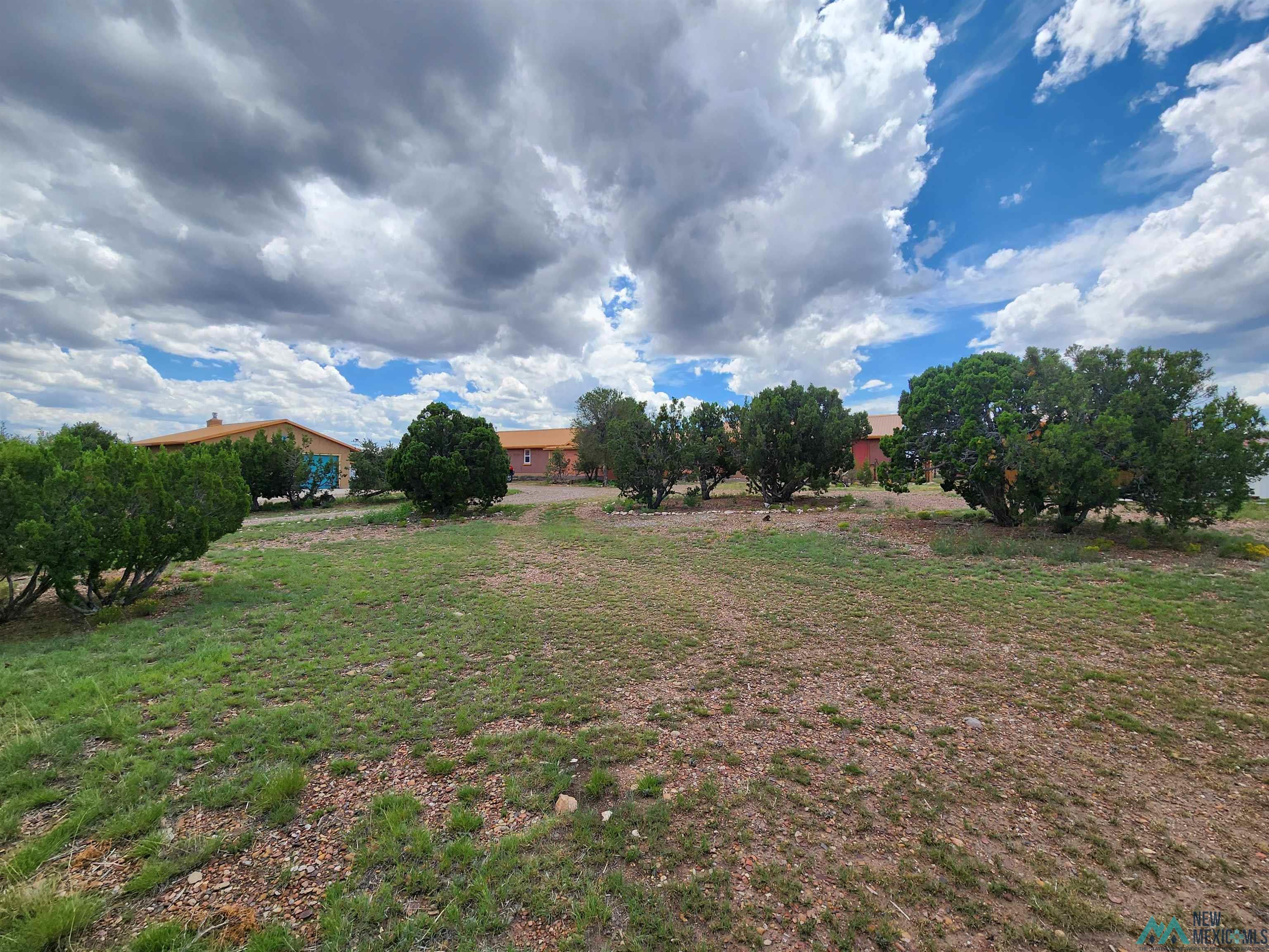 455 Cimarron Drive, Quemado, New Mexico image 2