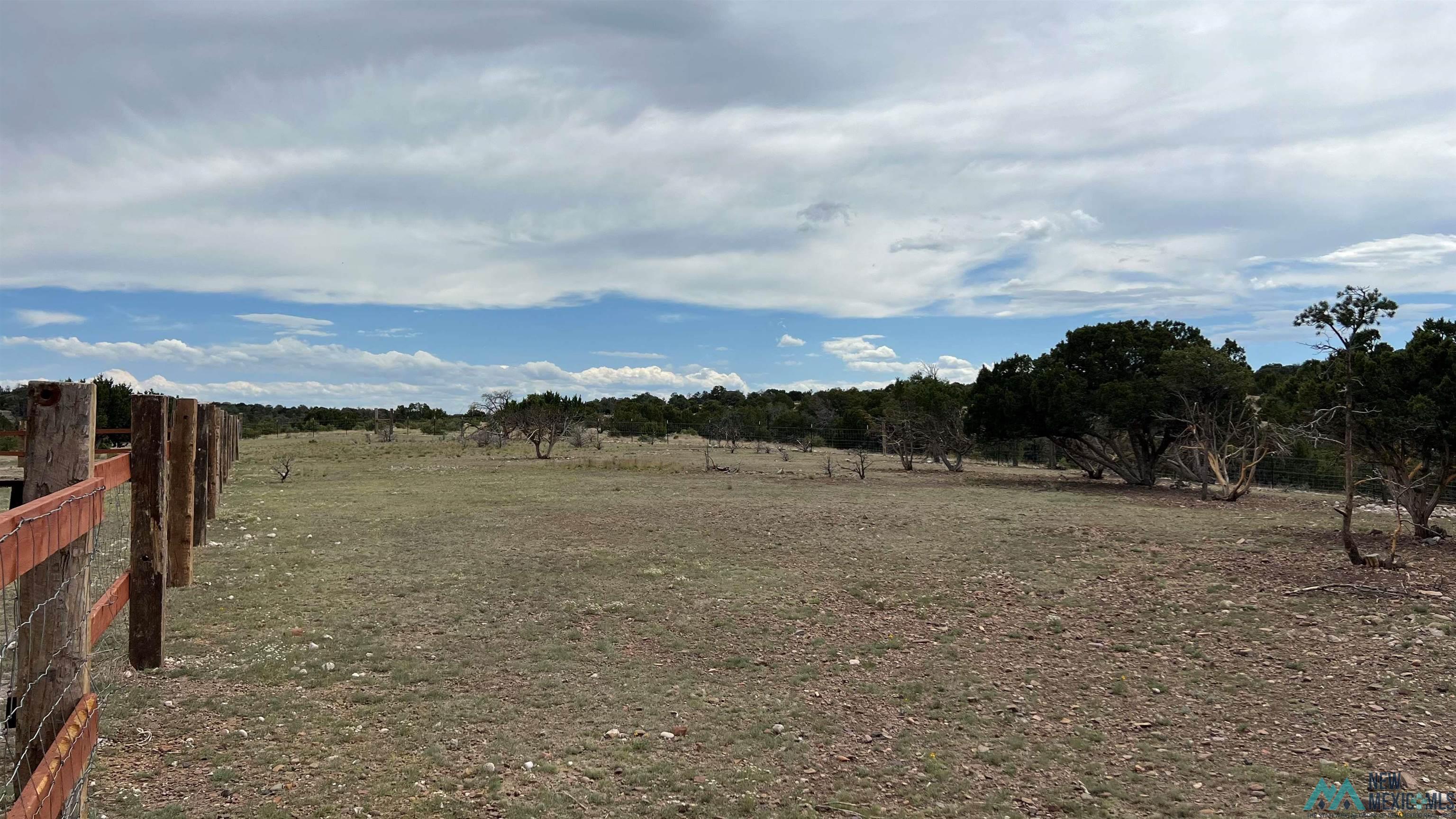 455 Cimarron Drive, Quemado, New Mexico image 47