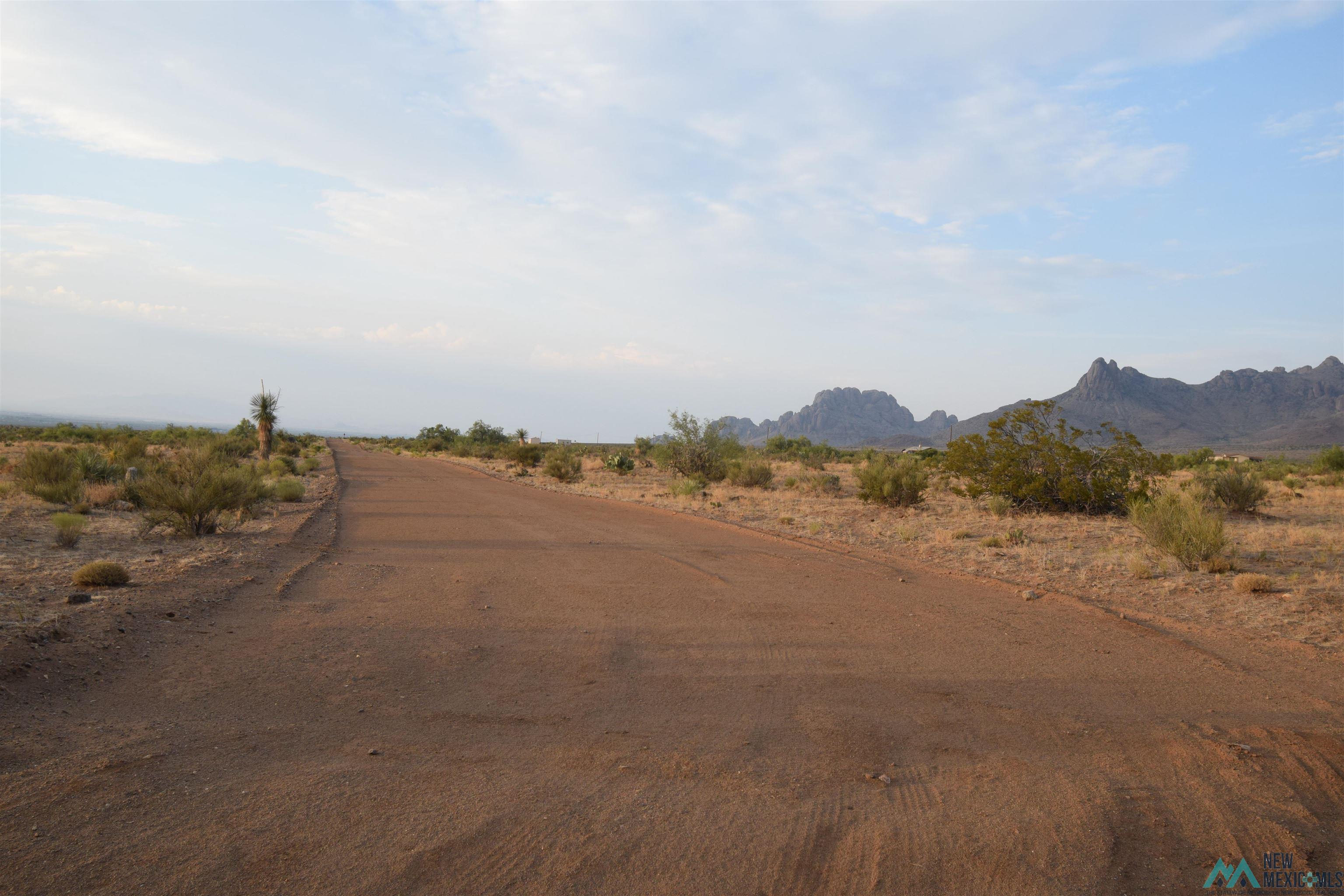 XXXX Hillside Estates, Deming, New Mexico image 8