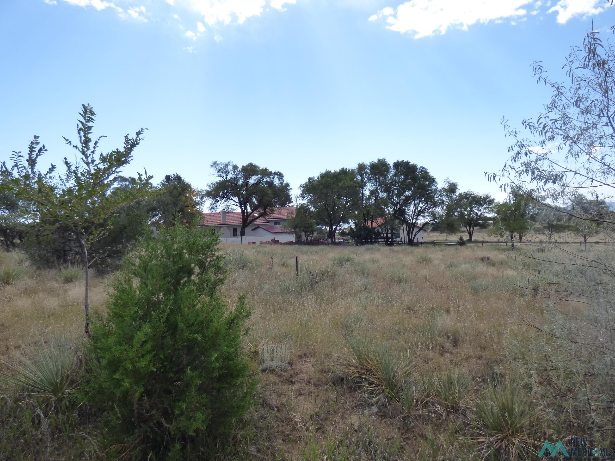 TBD #2 Stevens Streets, Raton, New Mexico image 4