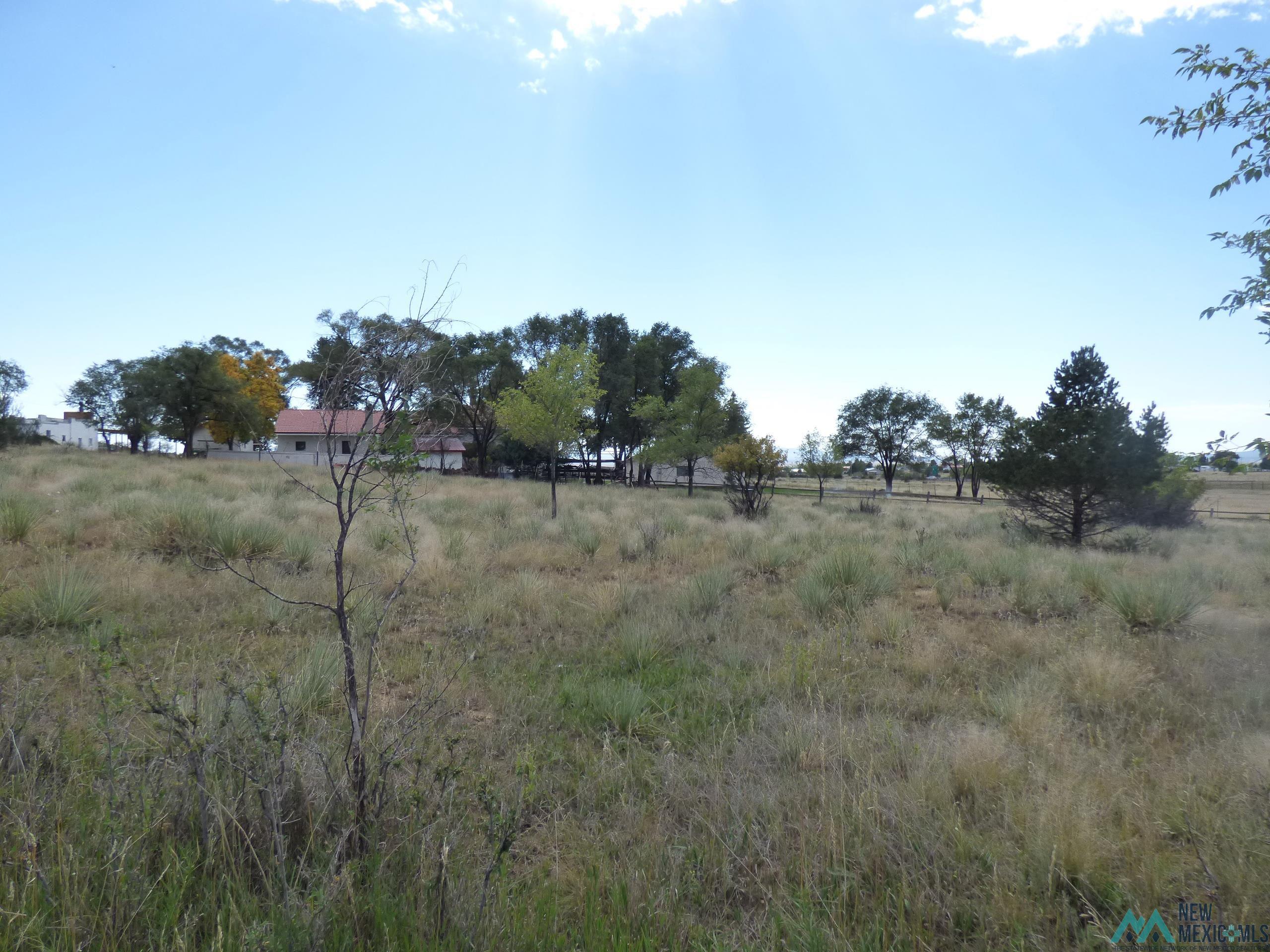 TBD #2 Stevens Streets, Raton, New Mexico image 3