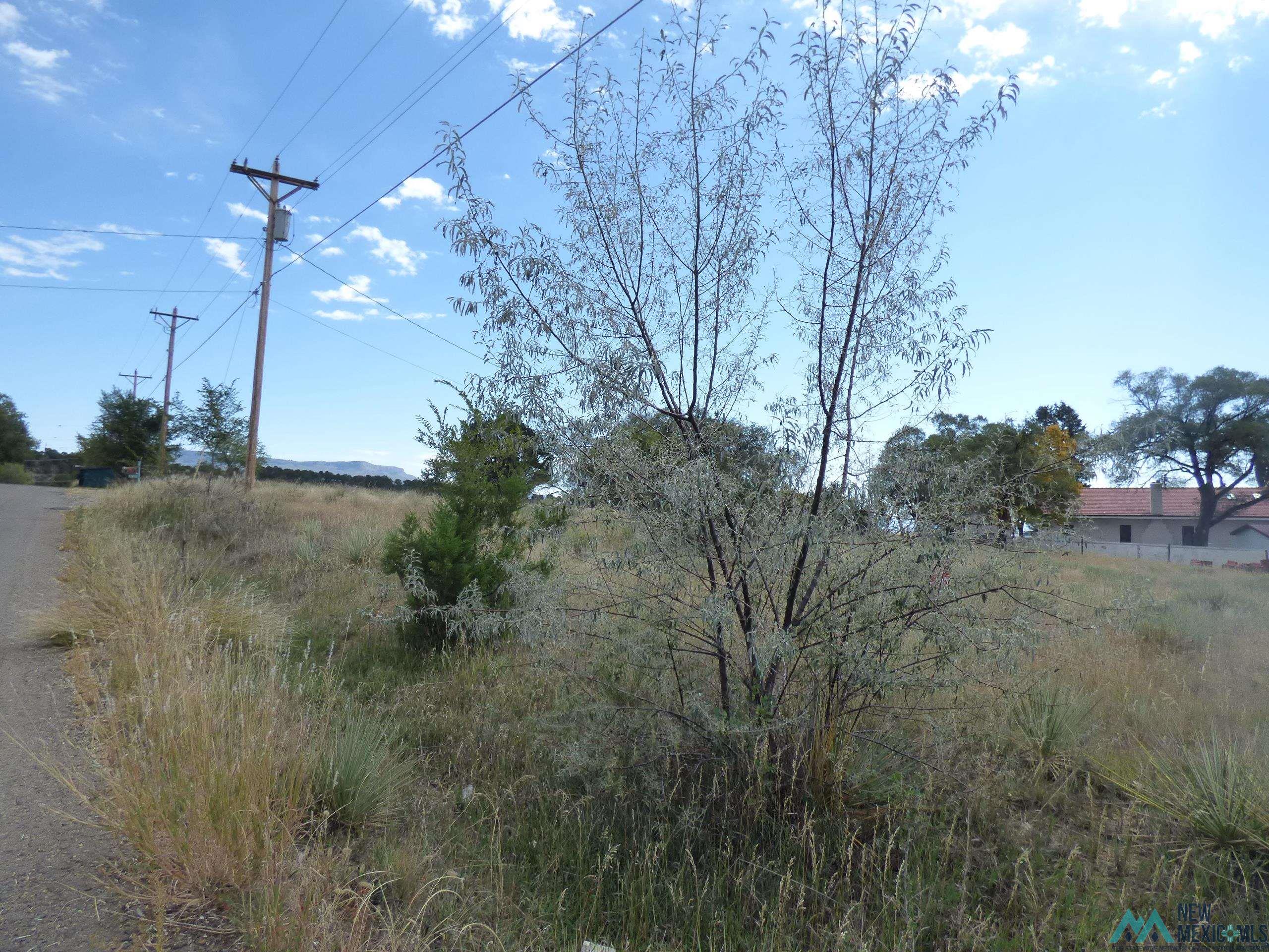 TBD #2 Stevens Streets, Raton, New Mexico image 2