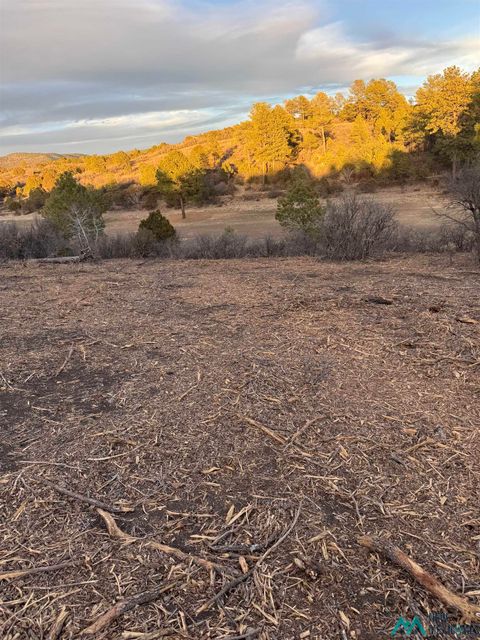 Vacant Land For Sale - 161 Eldrado Drive<br/> Otero County, Timberon, NM 88350
