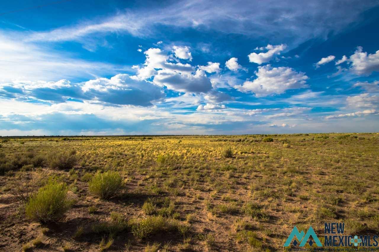 Lot 3 Jones Road, Vanderwagen, New Mexico image 1