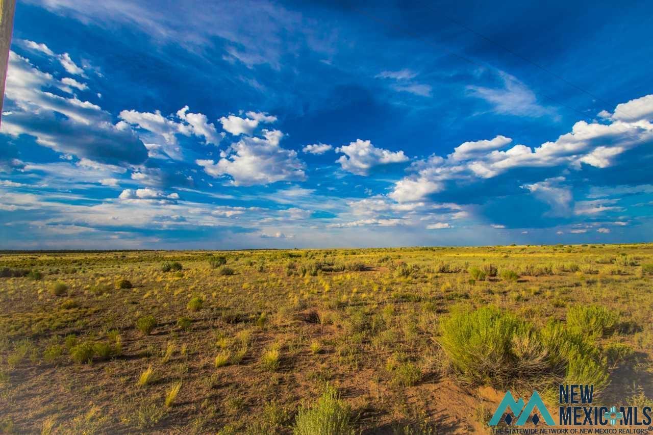 Lot 3 Jones Road, Vanderwagen, New Mexico image 2