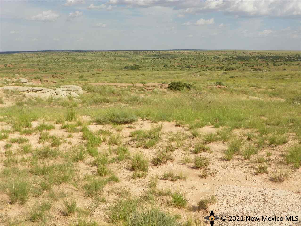 8I Lot Quay Road Ai, Tucumcari, New Mexico image 14