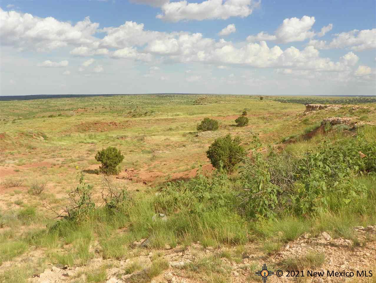 8I Lot Quay Road Ai, Tucumcari, New Mexico image 4