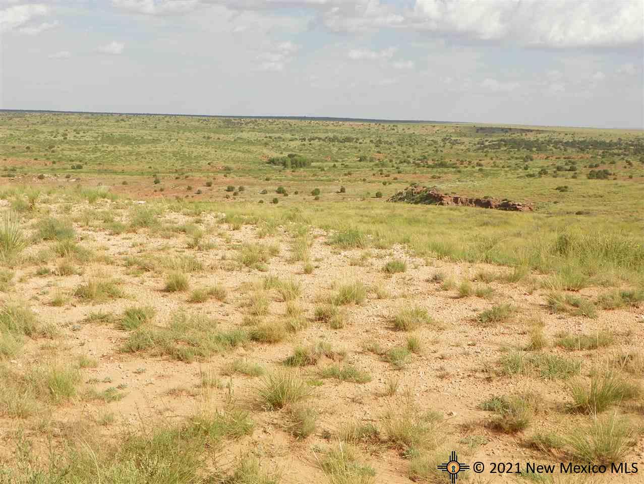 8I Lot Quay Road Ai, Tucumcari, New Mexico image 12