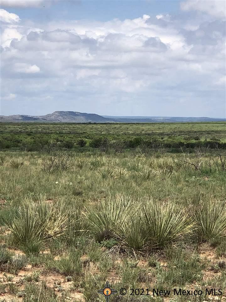 8I Lot Quay Road Ai, Tucumcari, New Mexico image 32