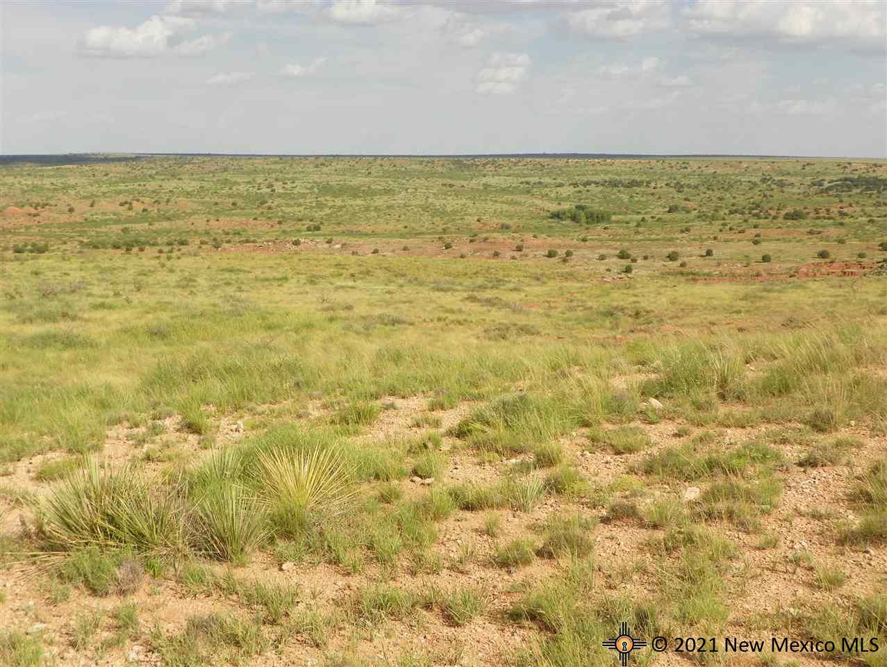 8I Lot Quay Road Ai, Tucumcari, New Mexico image 7