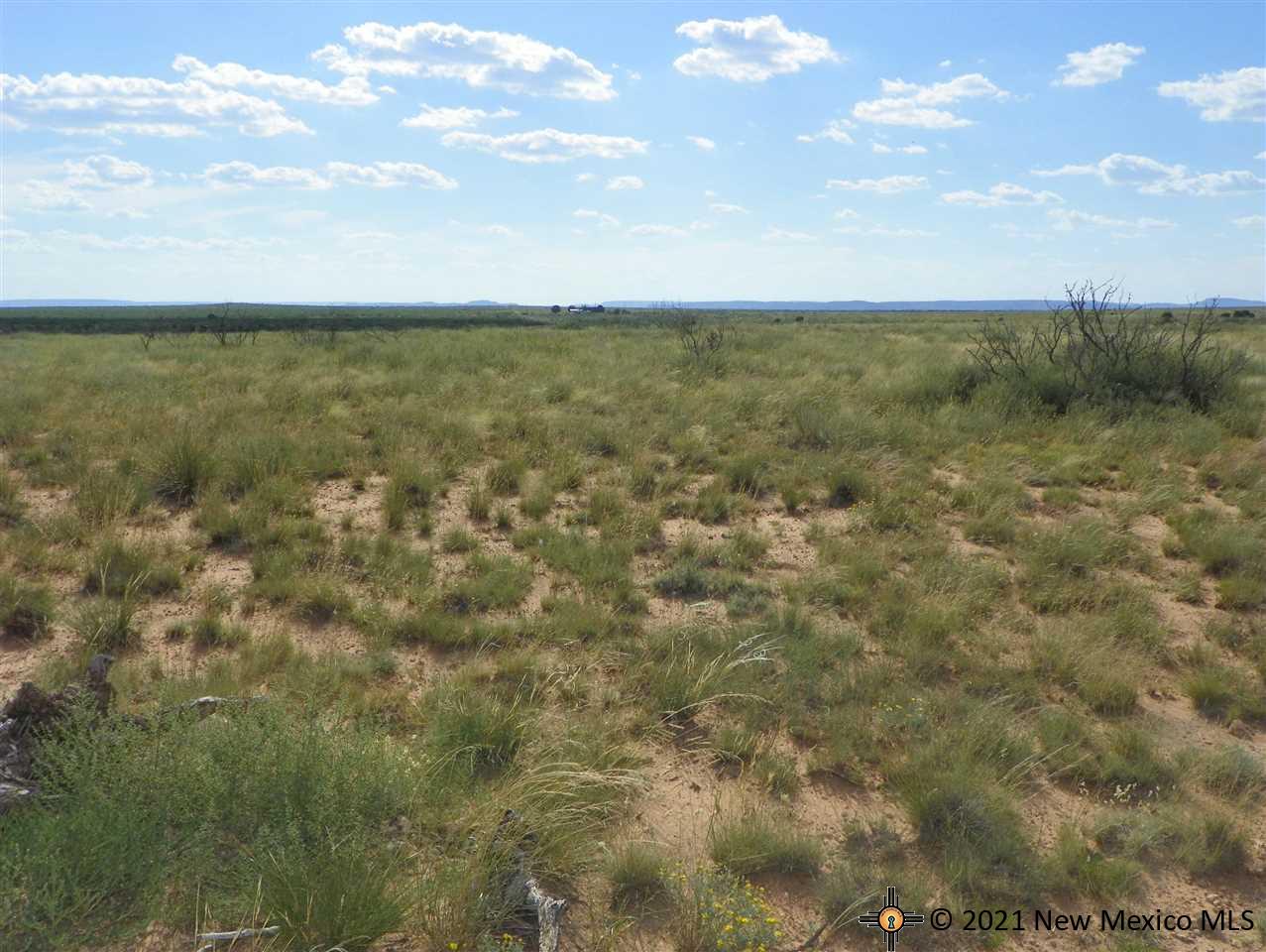 8I Lot Quay Road Ai, Tucumcari, New Mexico image 2