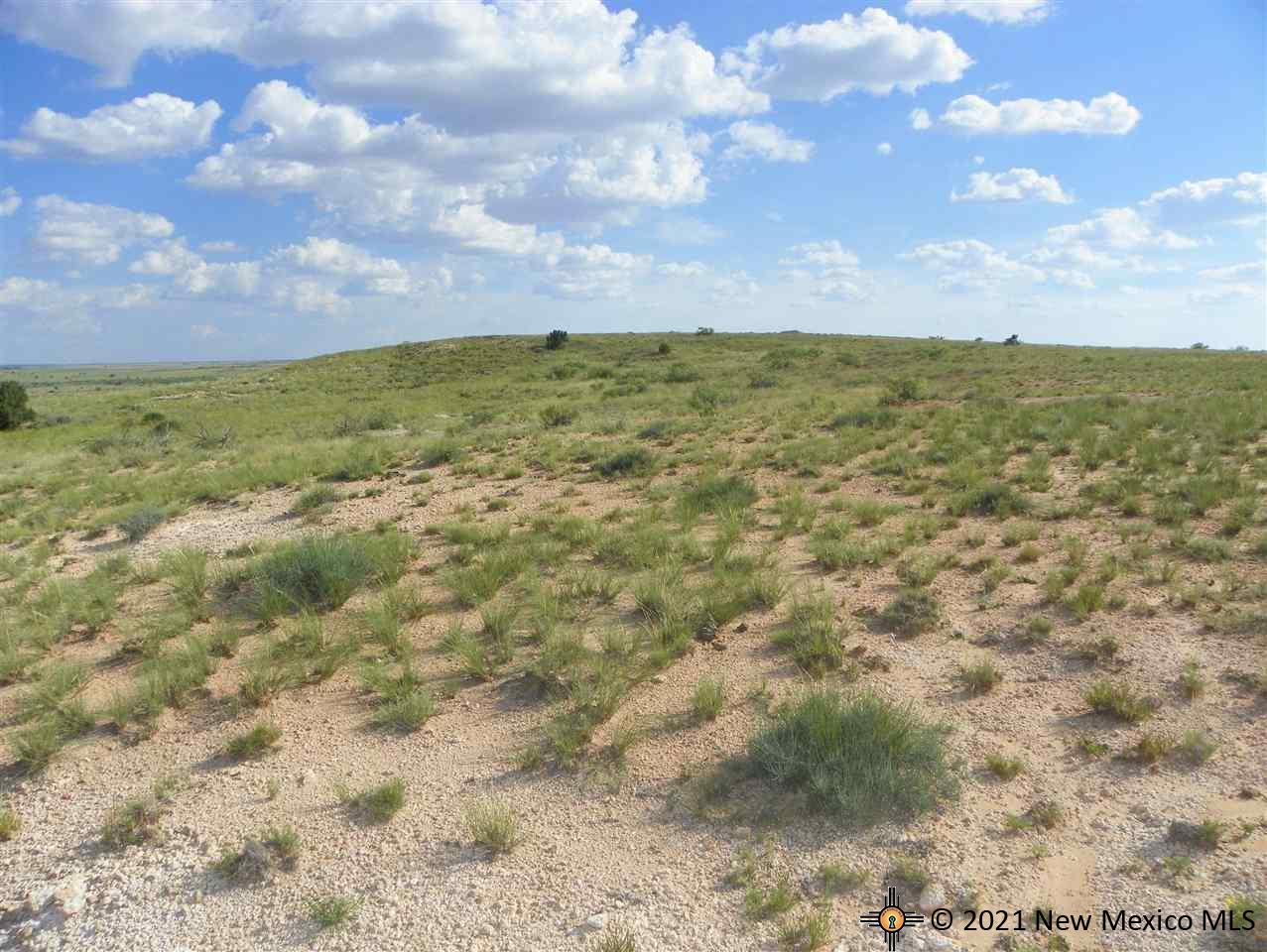 8I Lot Quay Road Ai, Tucumcari, New Mexico image 16