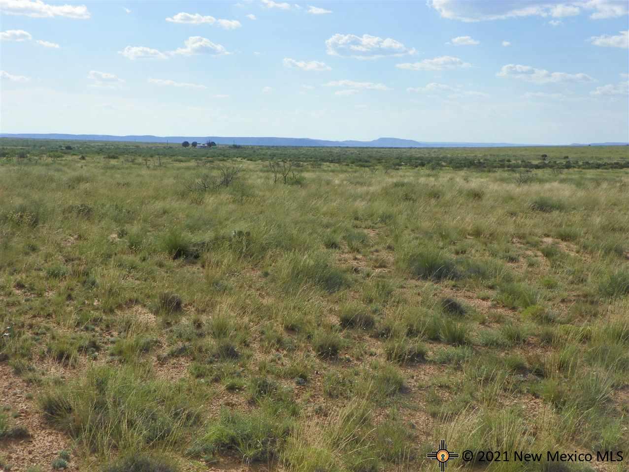 8I Lot Quay Road Ai, Tucumcari, New Mexico image 8