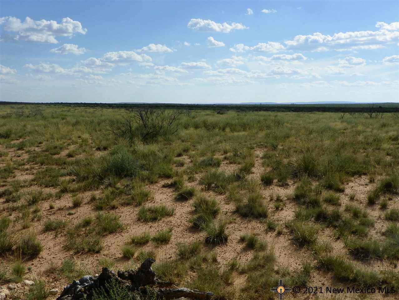 8I Lot Quay Road Ai, Tucumcari, New Mexico image 3