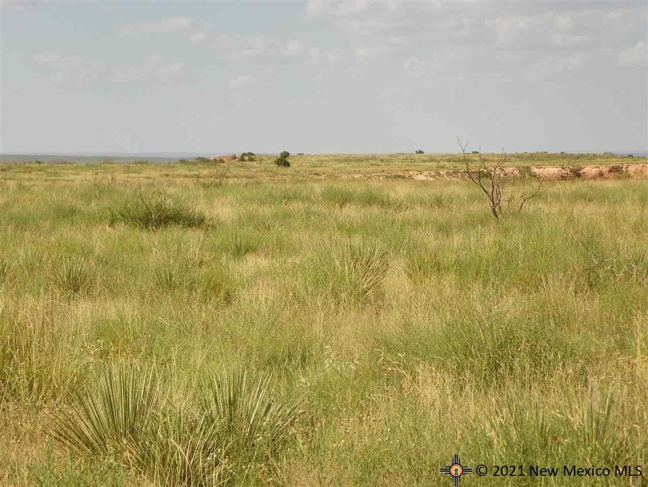 8I Lot Quay Road Ai, Tucumcari, New Mexico image 13