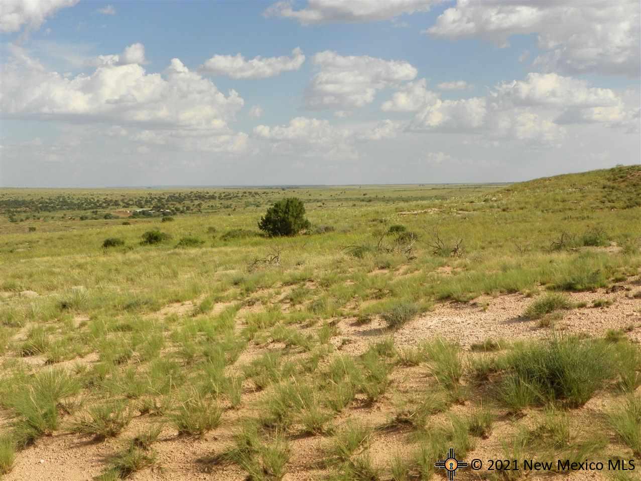 8I Lot Quay Road Ai, Tucumcari, New Mexico image 15