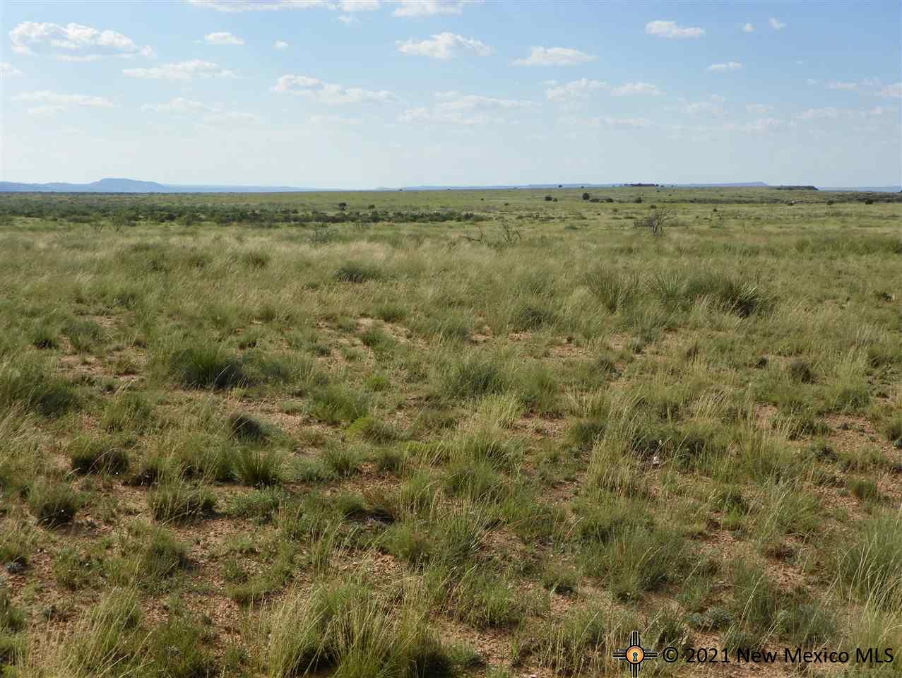 8I Lot Quay Road Ai, Tucumcari, New Mexico image 9