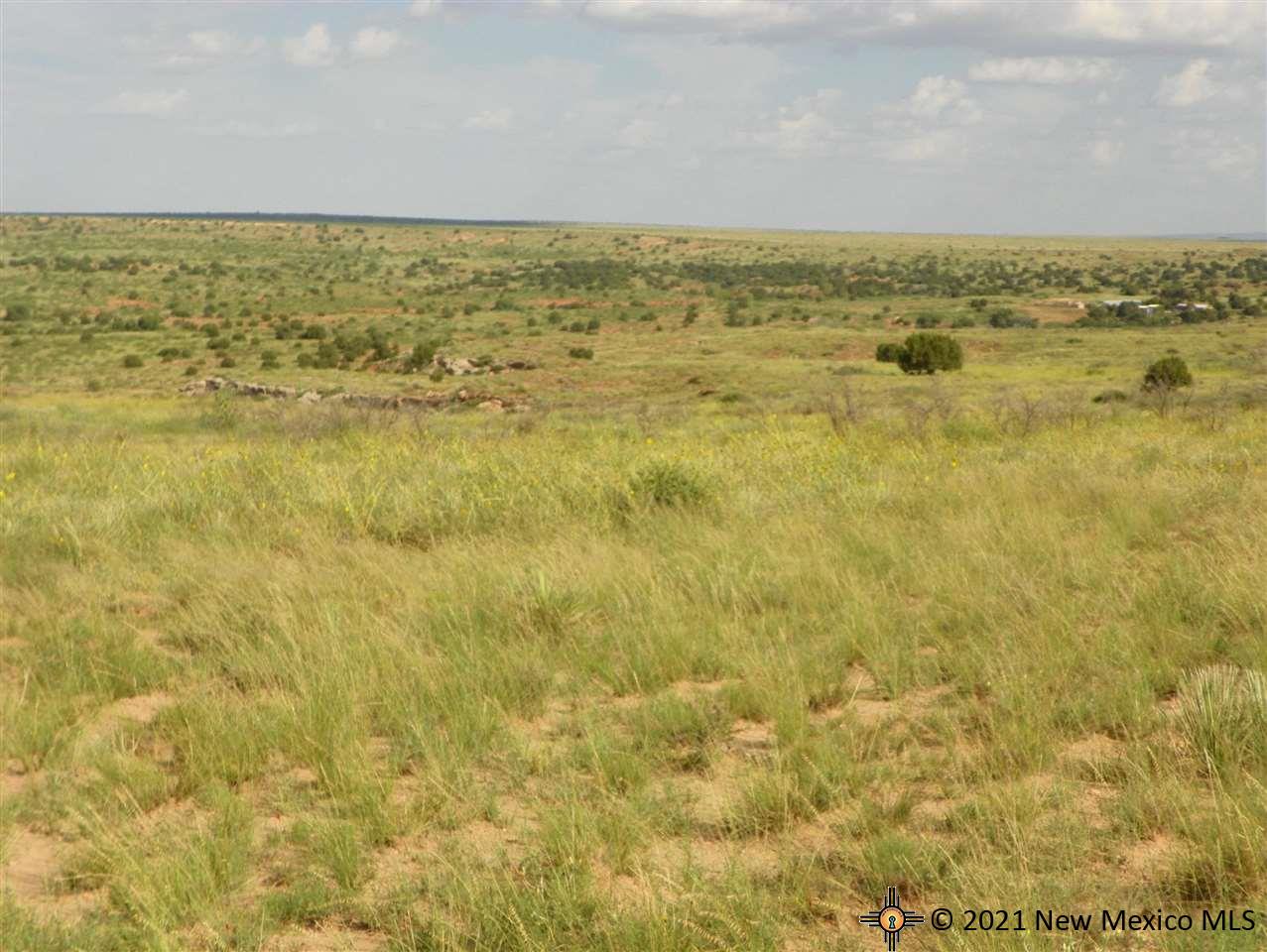 8I Lot Quay Road Ai, Tucumcari, New Mexico image 20