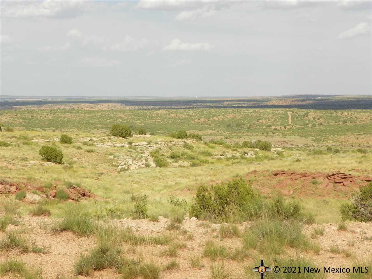 8I Lot Quay Road Ai, Tucumcari, New Mexico image 6