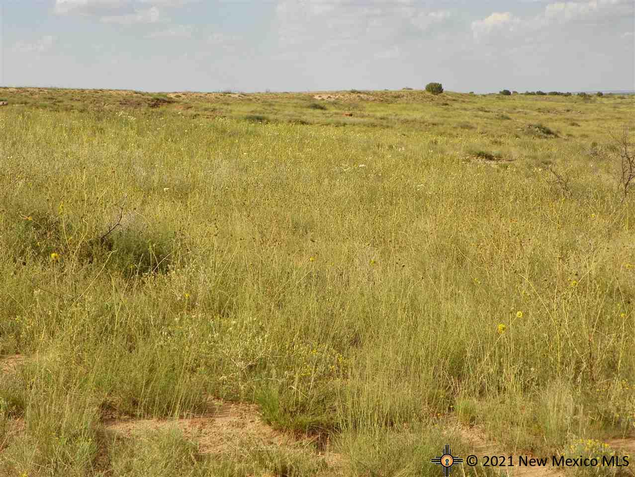 8I Lot Quay Road Ai, Tucumcari, New Mexico image 23