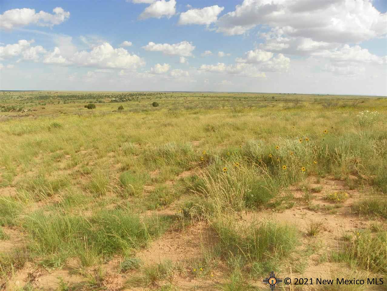 8I Lot Quay Road Ai, Tucumcari, New Mexico image 19